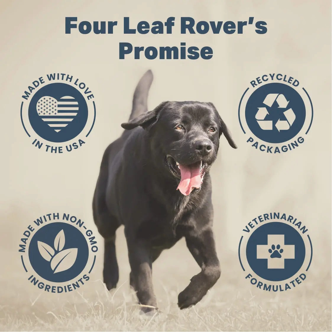 Four Leaf Rover (SAFE-SEA) Green Lipped Mussel Oil (Omega-3) Dog Supplements