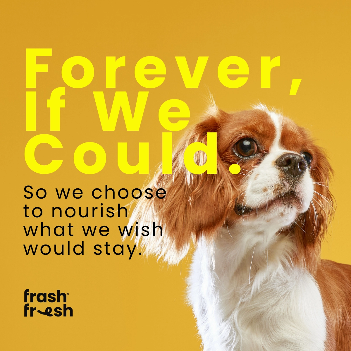 frashfresh Cooked Dog Food with NutriAbsorb (Low-Allergen BEEF)