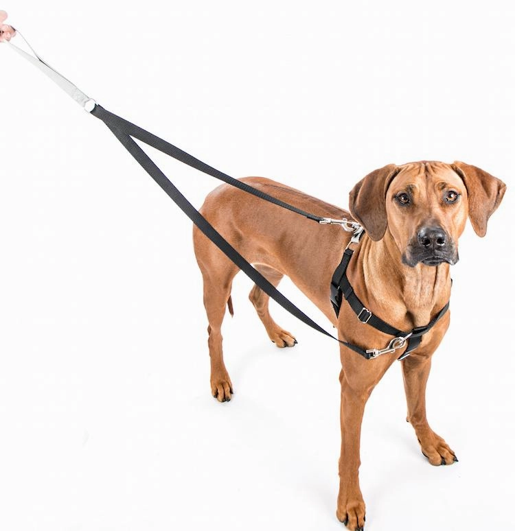 Freedom No-Pull Harness & Leash (Kelly Green) For Dogs