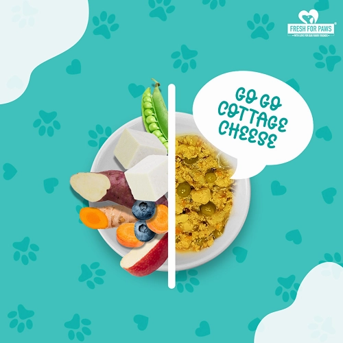 Fresh For Paws A Green Affair Grain Free & Vegan and Go Go Cottage Cheese and Oh My Greens Dog Wet Food Combo