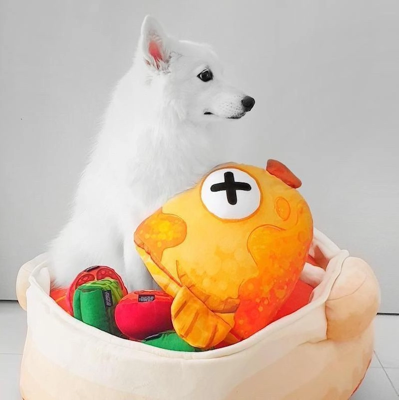 Furball Collective Curry Fish Head Pet Bed Set