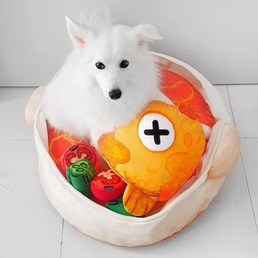 Furball Collective Curry Fish Head Pet Bed Set small breed food,tiny dog food