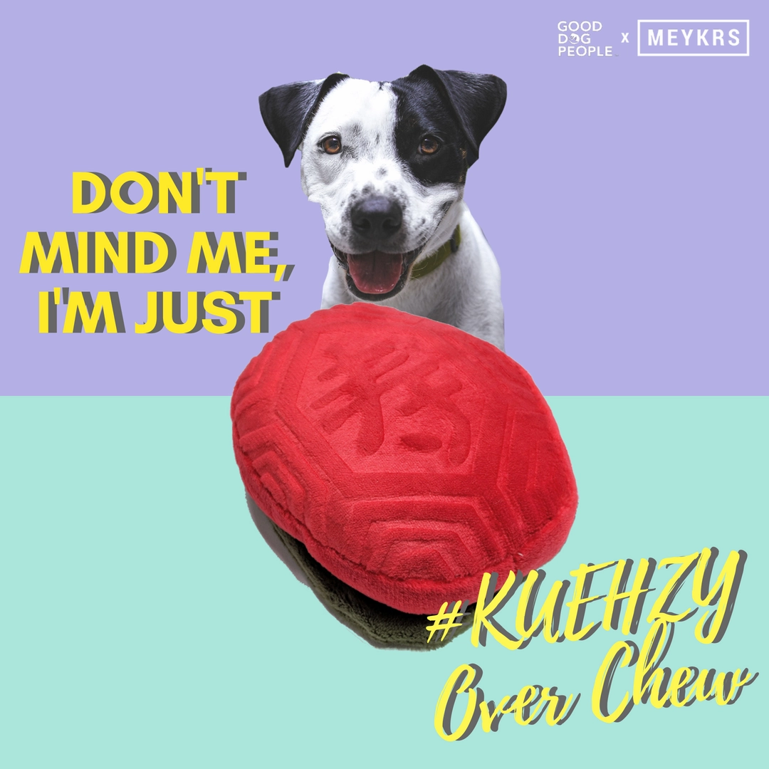 Furball Collective Squeakie Dog Toy (Ang Ku Kueh)