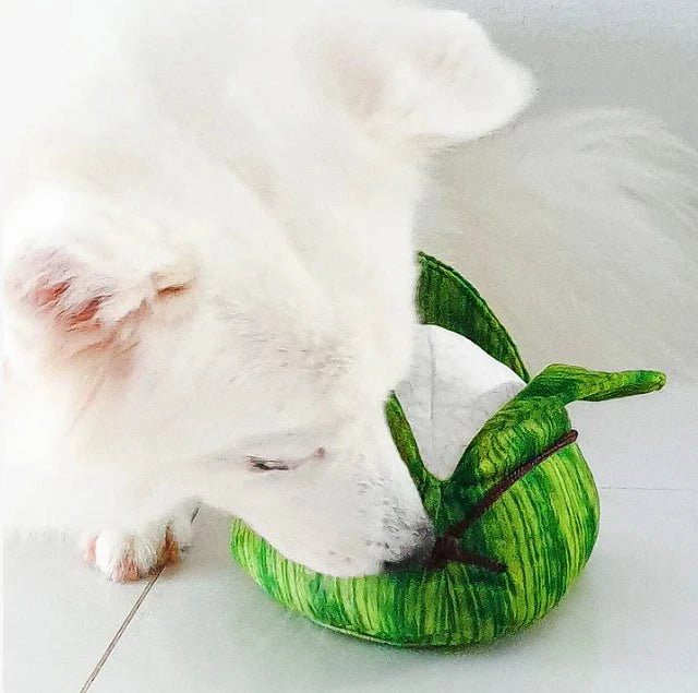 Furball Collective Squeakie Dog Toy (Bak Zhang)