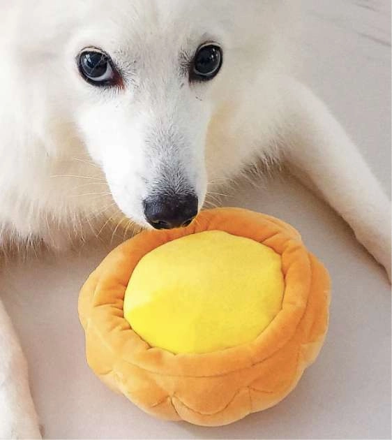 Furball Collective Squeakie Dog Toy (Egg Tart)