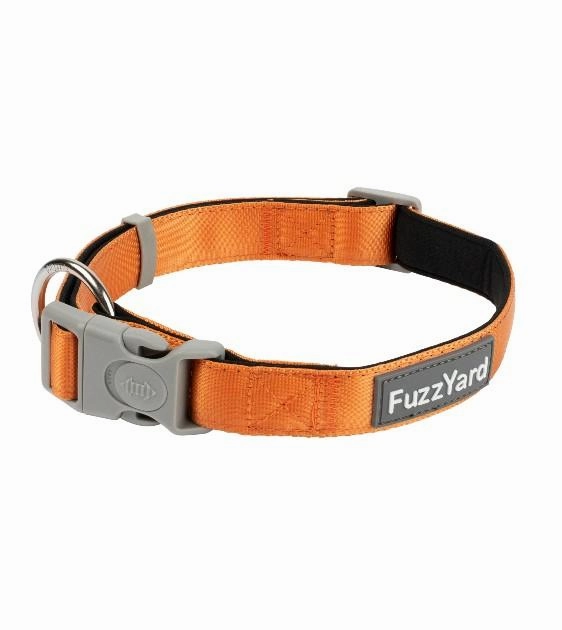 FuzzYard Crush Dog Collar dog charms,dog ID