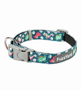 FuzzYard Dinosaur Land Dog Collar dog charms,dog ID