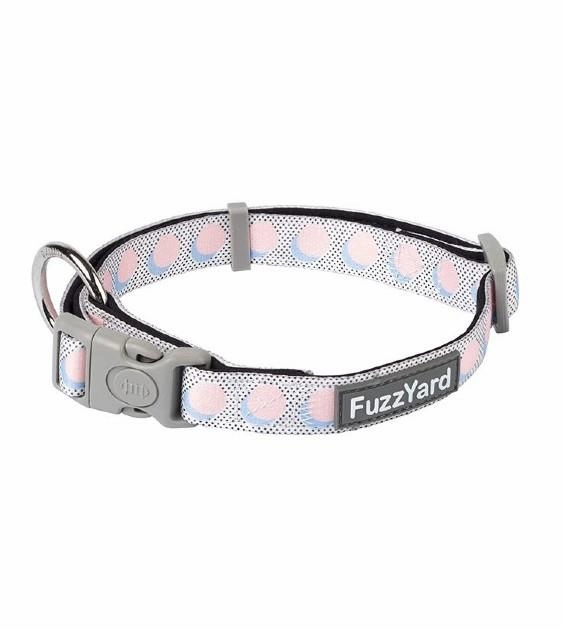 FuzzYard Dippin' Dog Collar dog charms,dog ID
