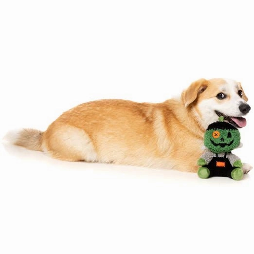 FuzzYard Halloween Jack-O Chan Frankenstein Plush Dog Toy