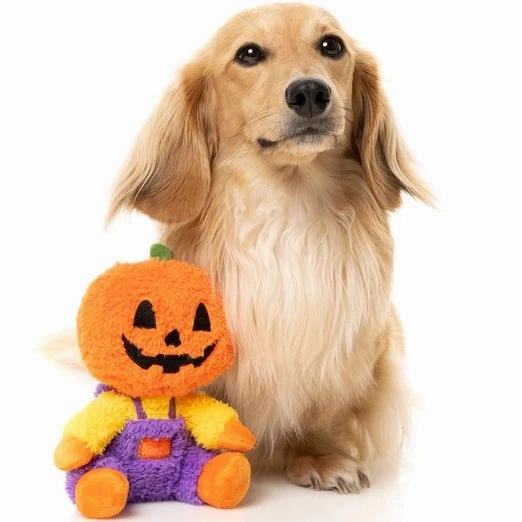 FuzzYard Halloween Jack-O Chan Plush Dog Toy