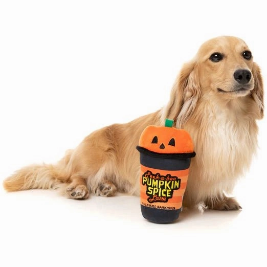 FuzzYard Halloween Peek-A-Boo Pumpkin Spice Latte Plush Dog Toy