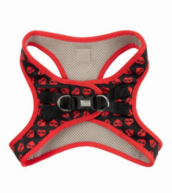 FuzzYard Heart Breaker Step-In Dog Harness