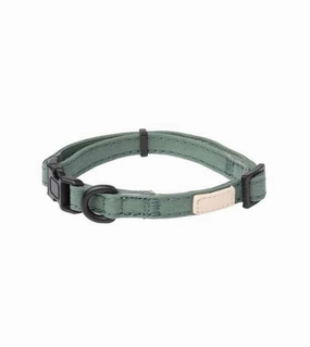 FuzzYard LIFE Dog Collar (Myrtle Green) dog charms,dog ID