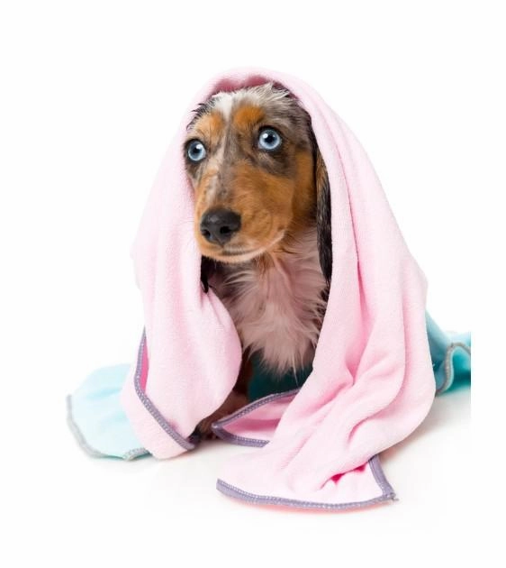 FuzzYard Microfibre Pink With Grey Trim Drying Towel For Puppies