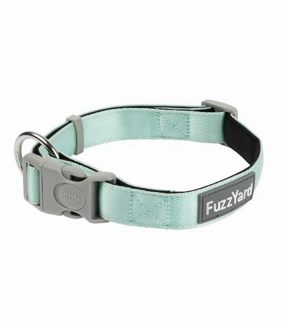 FuzzYard Mint Dog Collar dog charms,dog ID