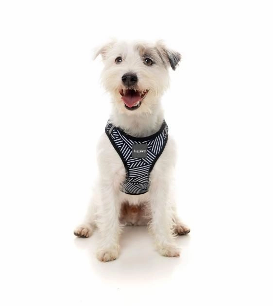 FuzzYard Northcote Step-in Dog Harness