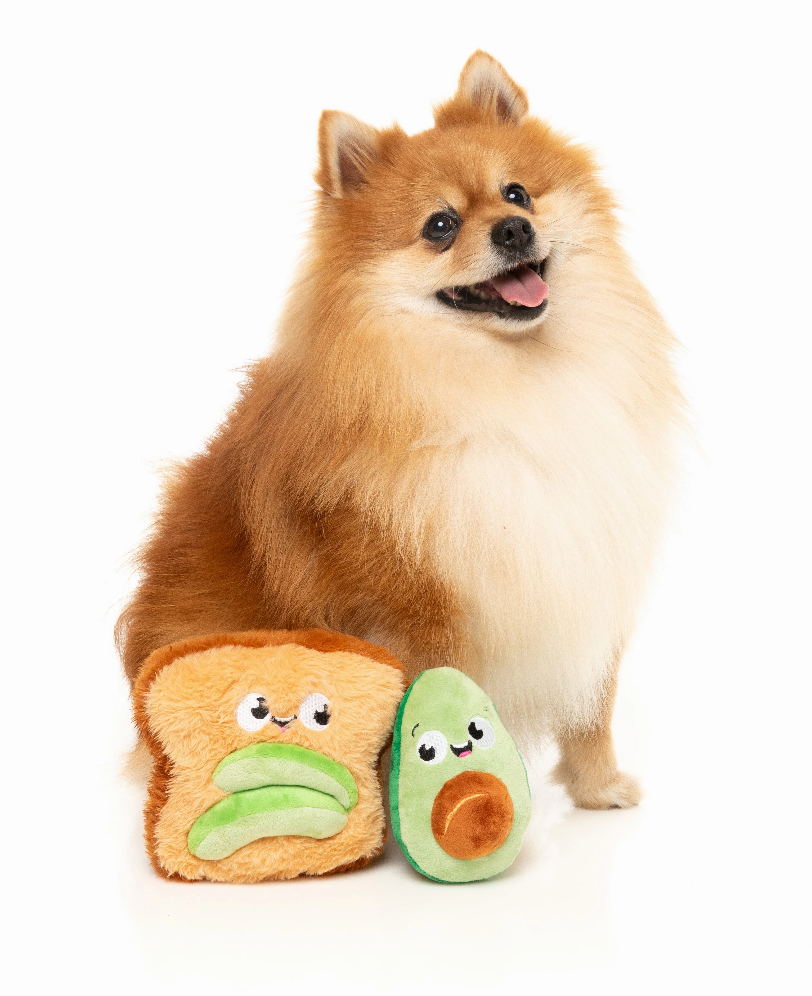 FuzzYard Perfect Match Squeaky Plush Dog Toy (Avocado & Toast 2 Pack)