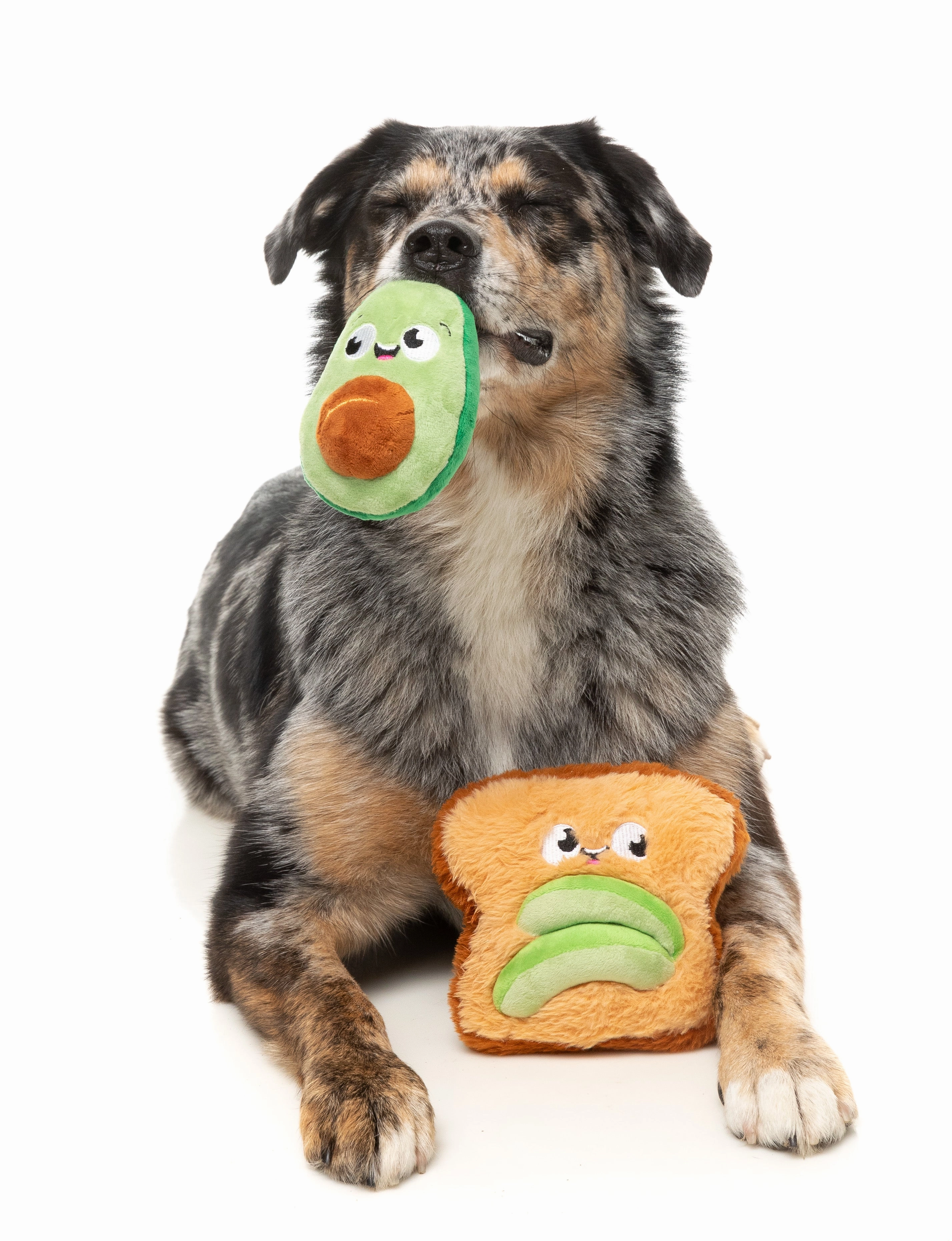 FuzzYard Perfect Match Squeaky Plush Dog Toy (Avocado & Toast 2 Pack)