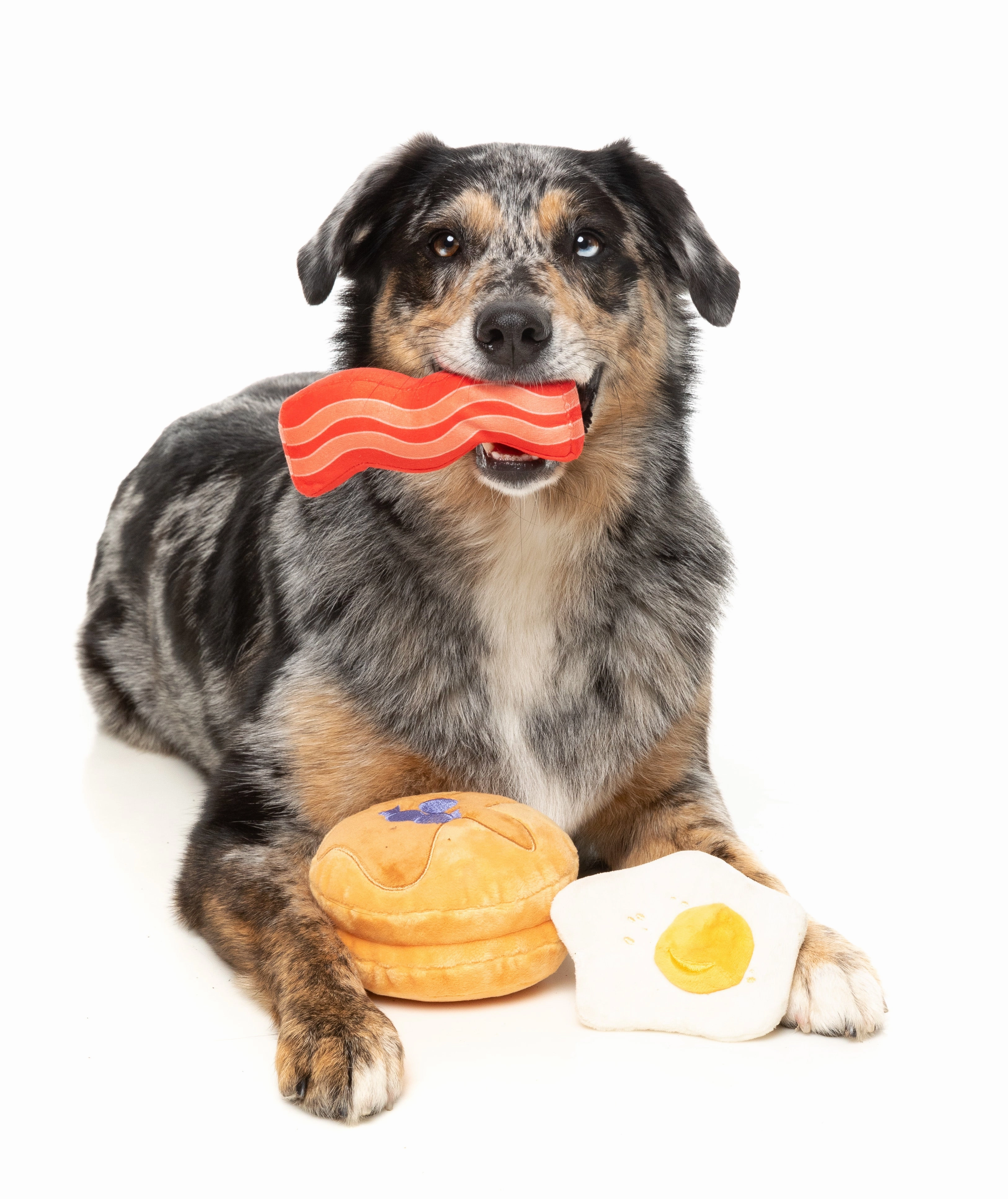 FuzzYard Perfect Match Squeaky Plush Dog Toy (Dog's Breakfast 3 Pack)