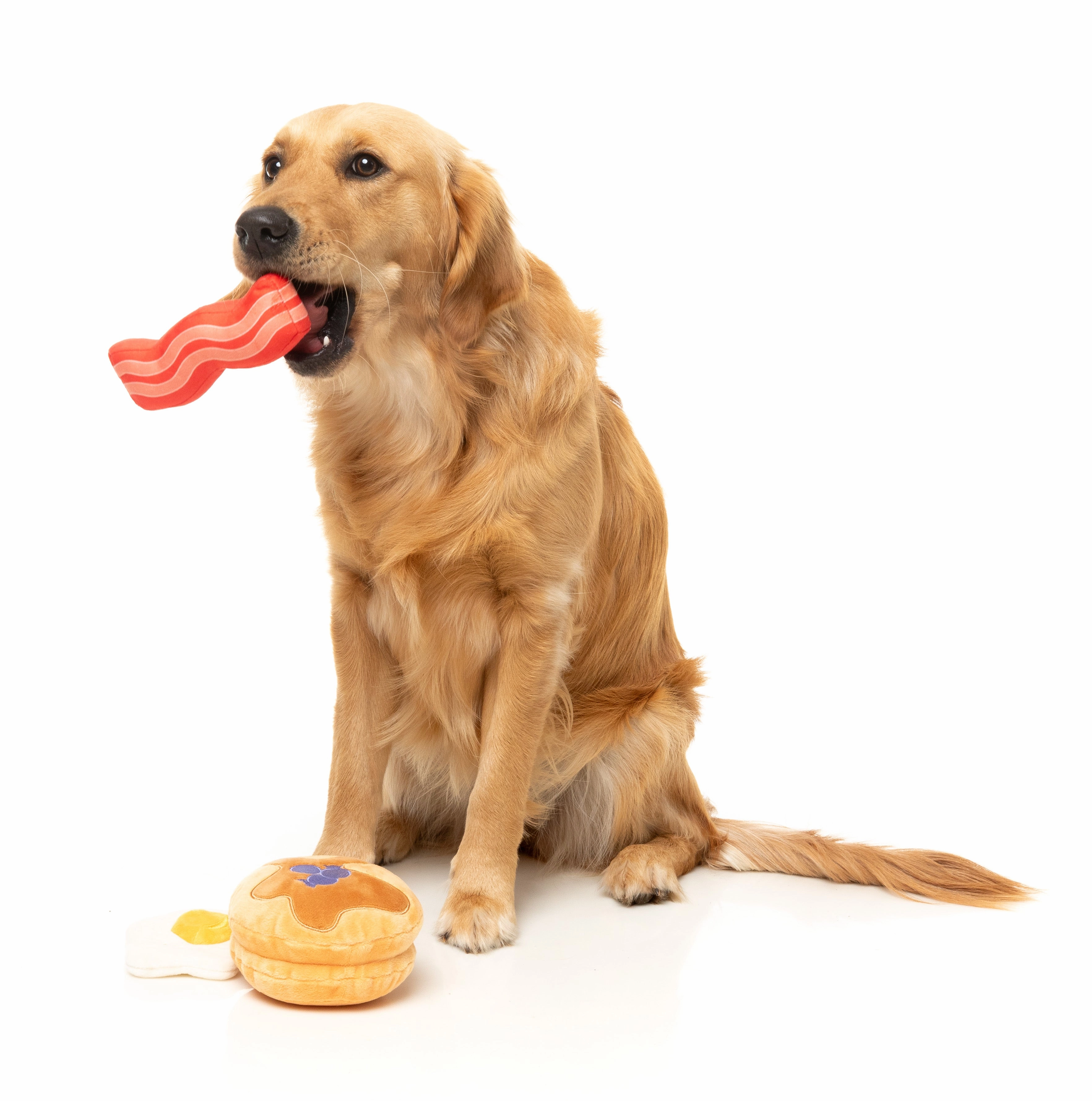 FuzzYard Perfect Match Squeaky Plush Dog Toy (Dog's Breakfast 3 Pack)