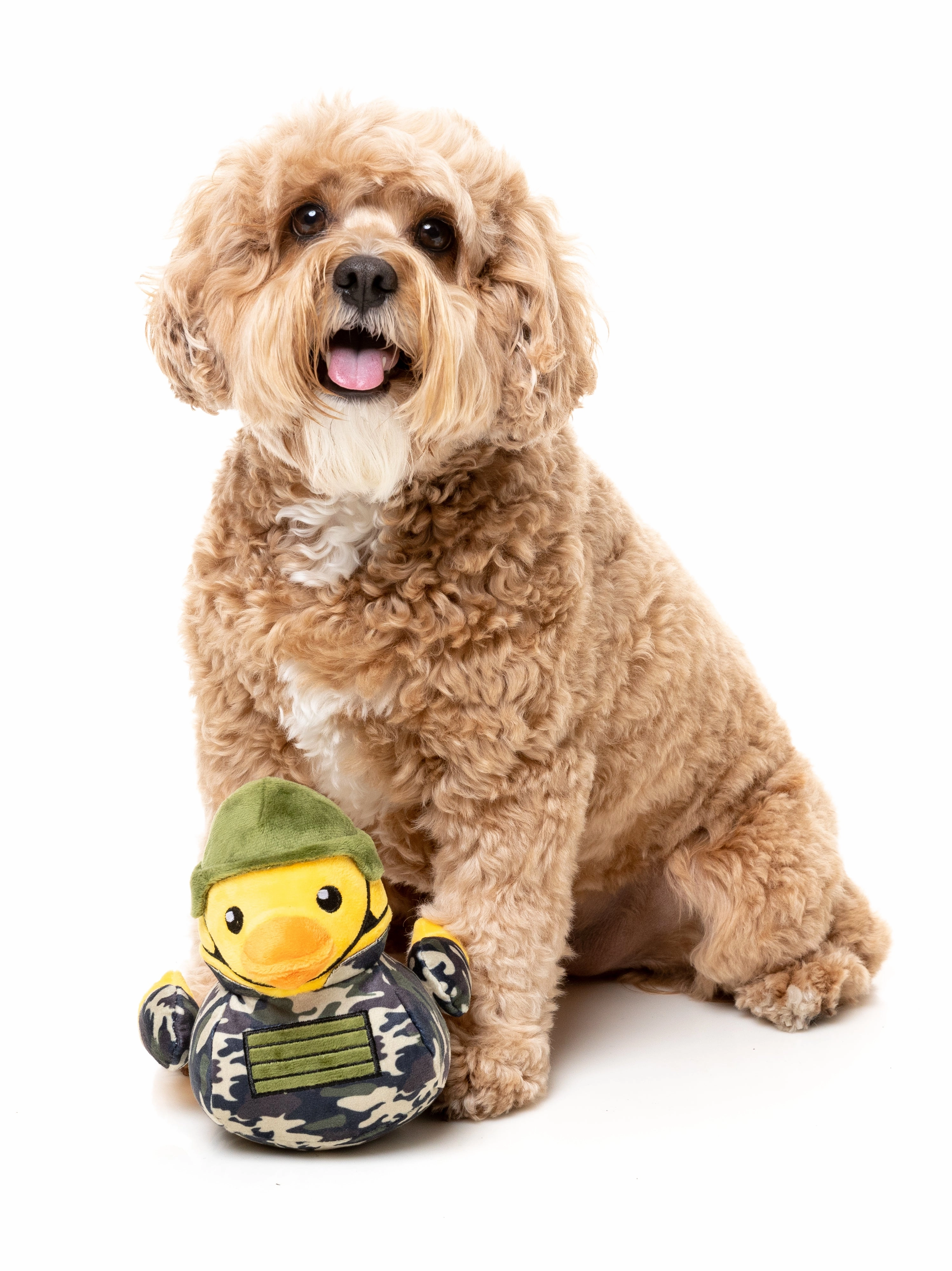 FuzzYard Squeaky Plush Dog Toy (Commanduck)