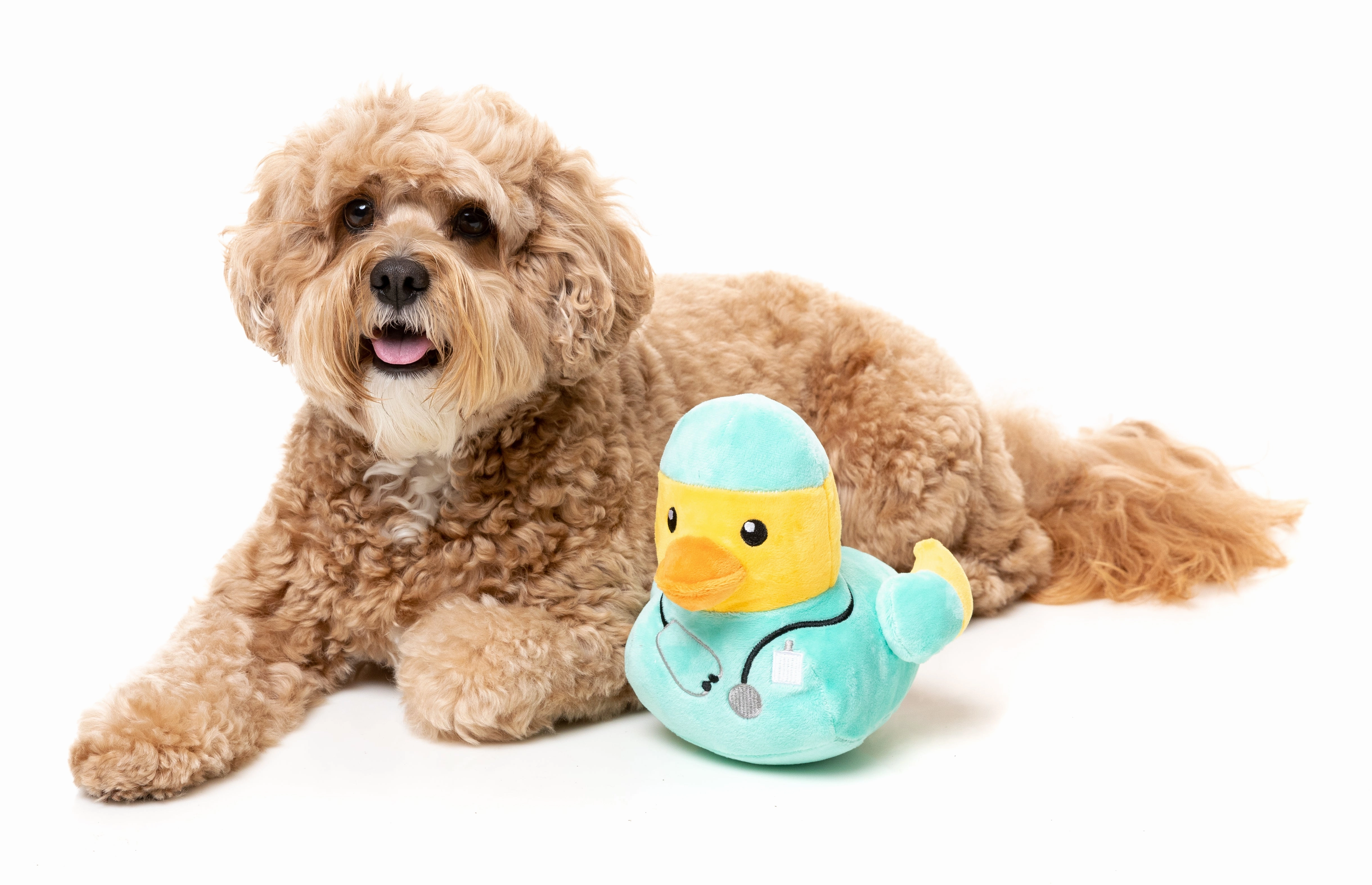 FuzzYard Squeaky Plush Dog Toy (Ducktor)