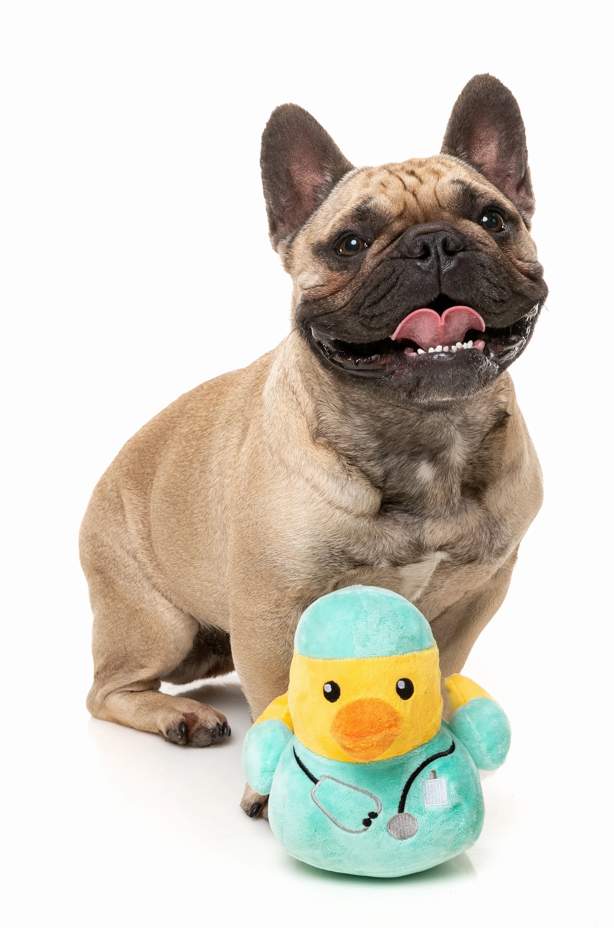 FuzzYard Squeaky Plush Dog Toy (Ducktor)