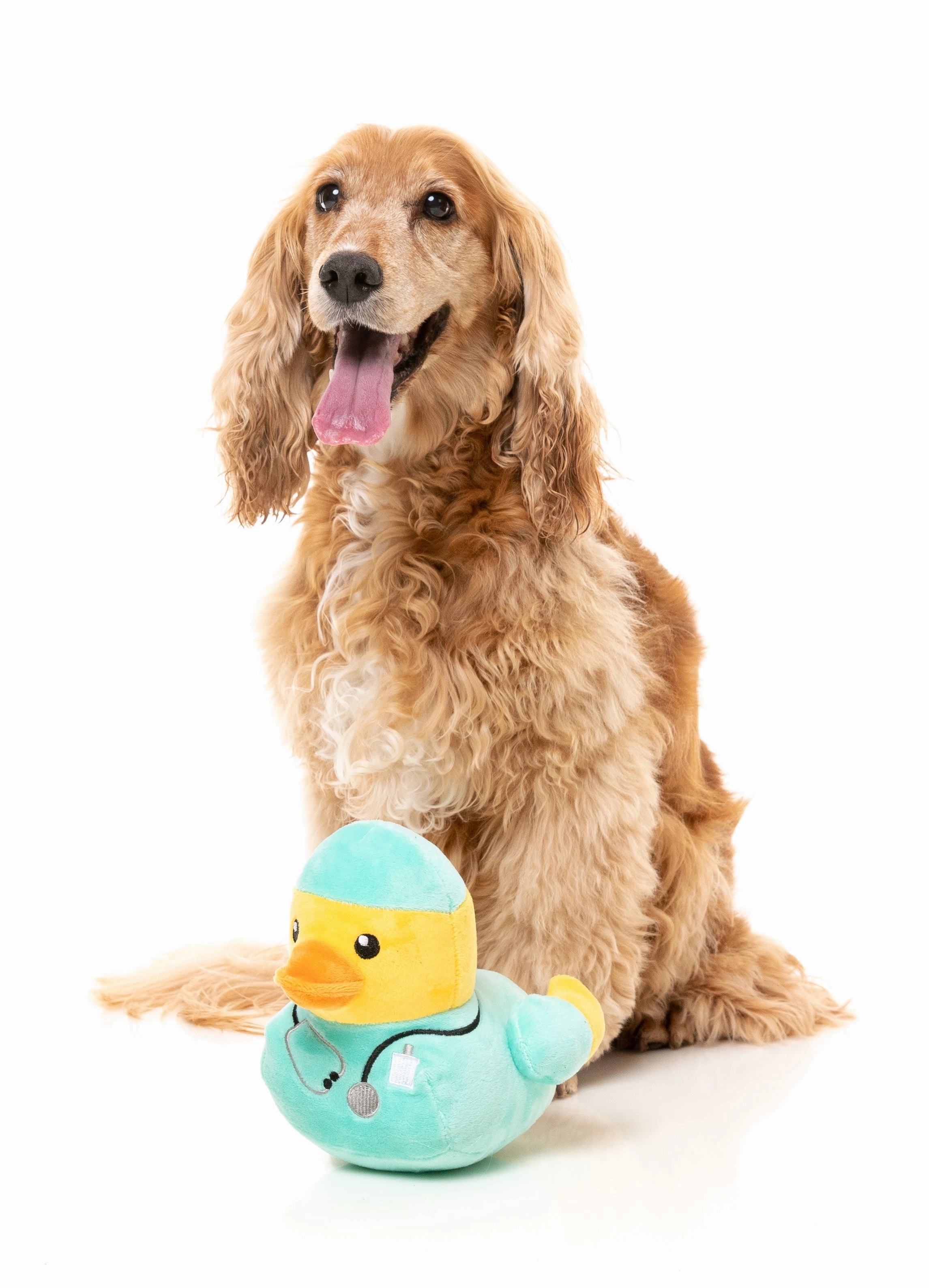 FuzzYard Squeaky Plush Dog Toy (Ducktor)