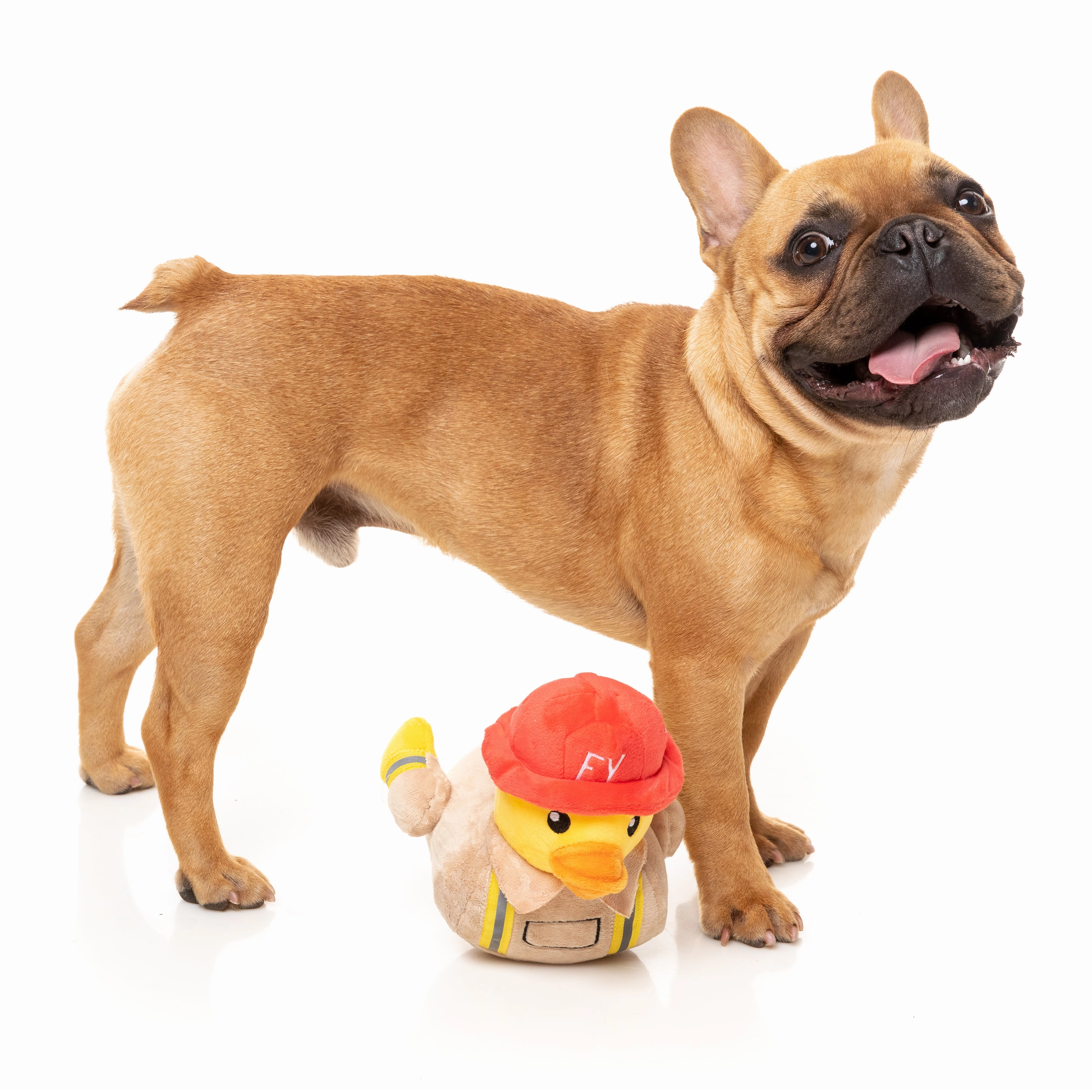 FuzzYard Squeaky Plush Dog Toy (Firequacker)