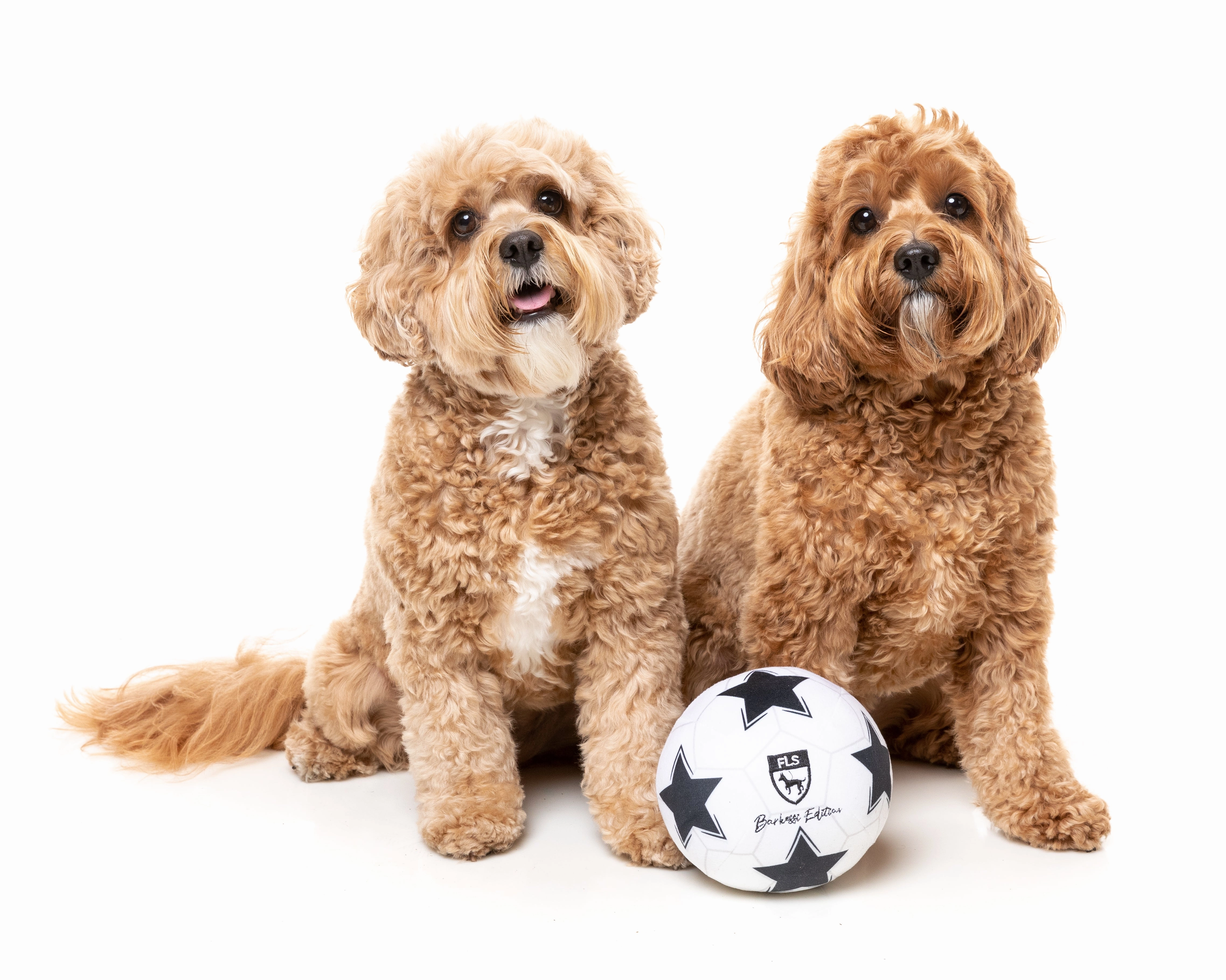FuzzYard Squeaky Plush Dog Toy (Soccer Ball)