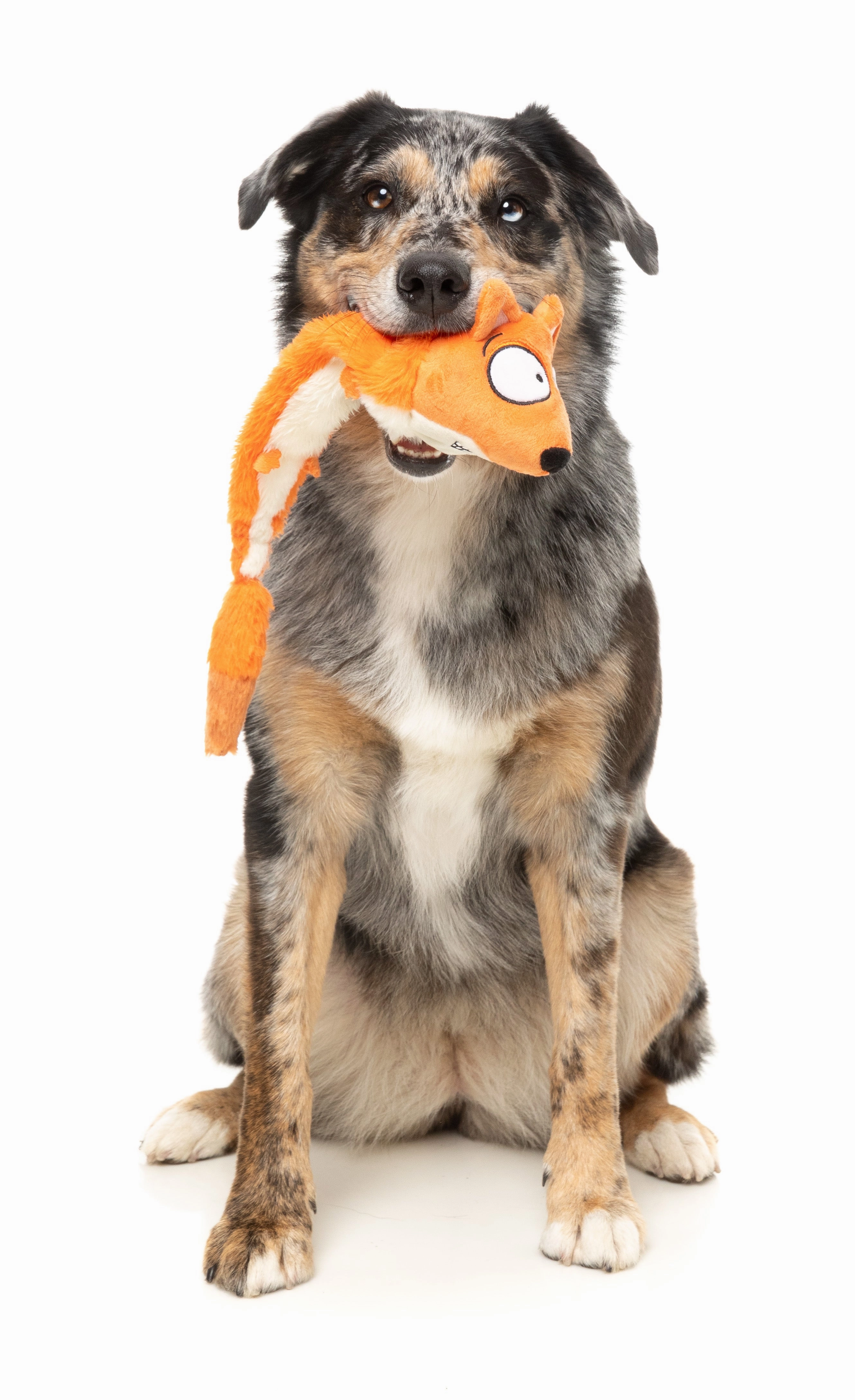 FuzzYard The Yeetz Swing-And-Throw Plush Dog Toy (Farewell Fox)