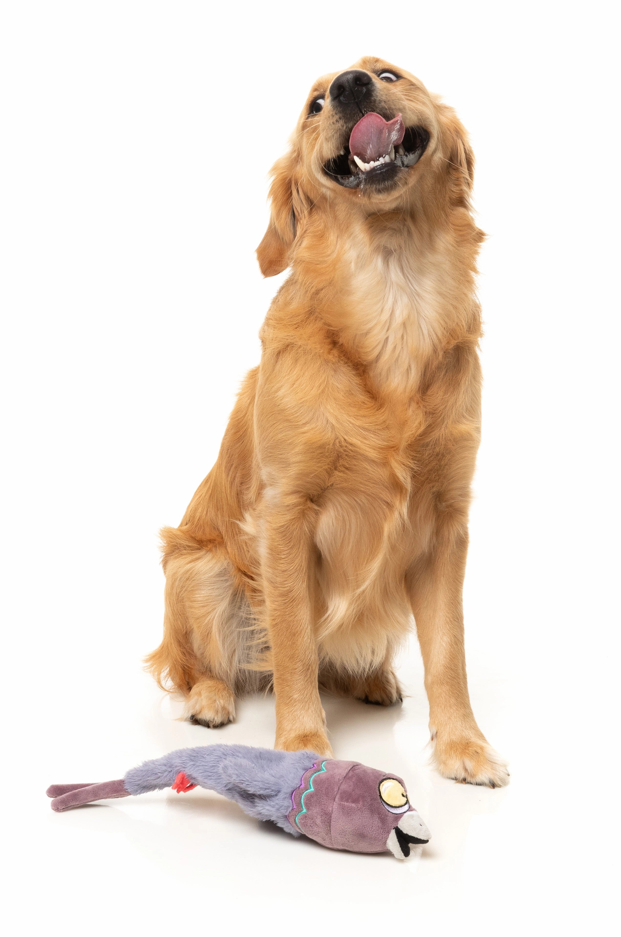FuzzYard The Yeetz Swing-And-Throw Plush Dog Toy (Peace Out Pigeon)