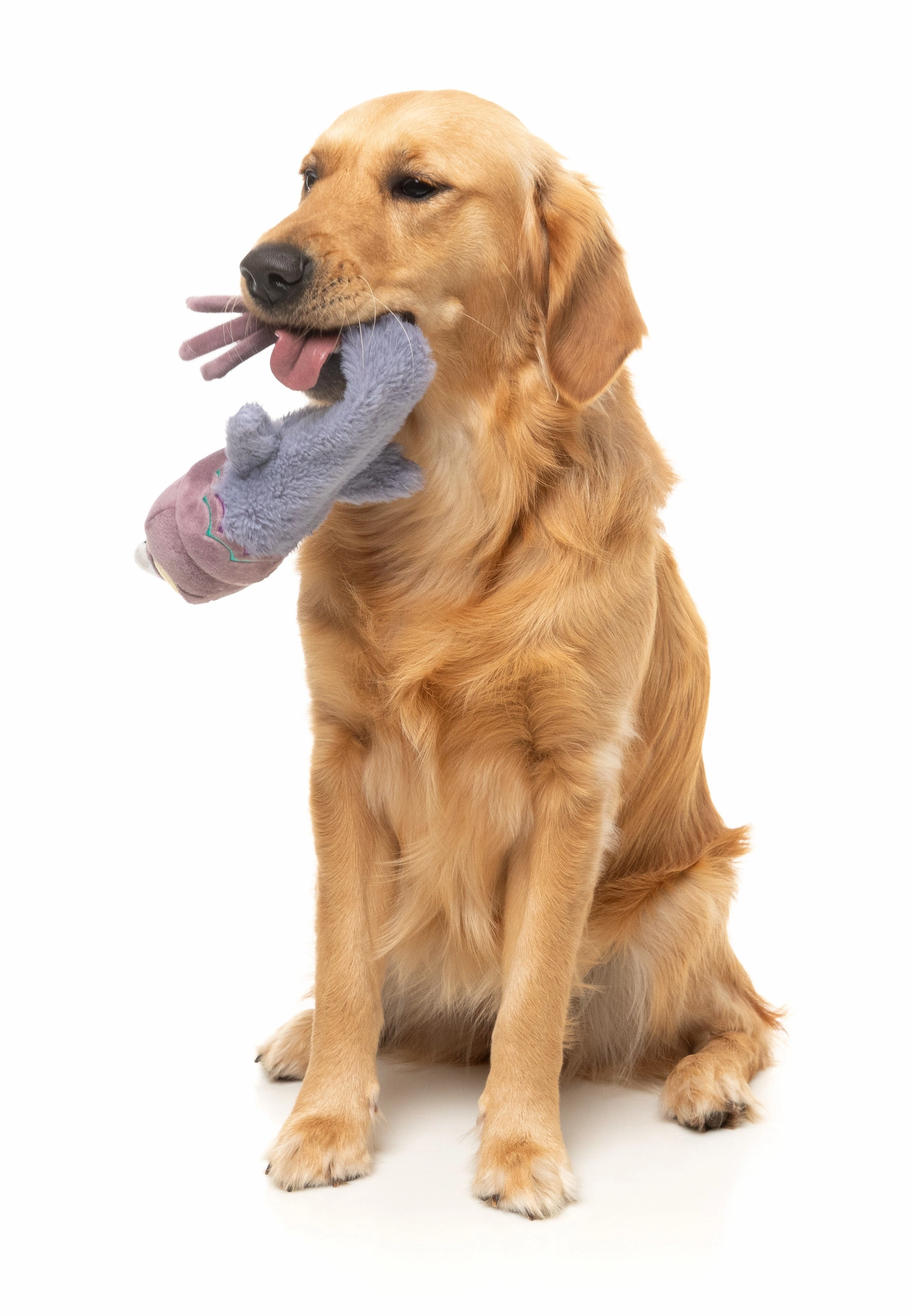 FuzzYard The Yeetz Swing-And-Throw Plush Dog Toy (Peace Out Pigeon)