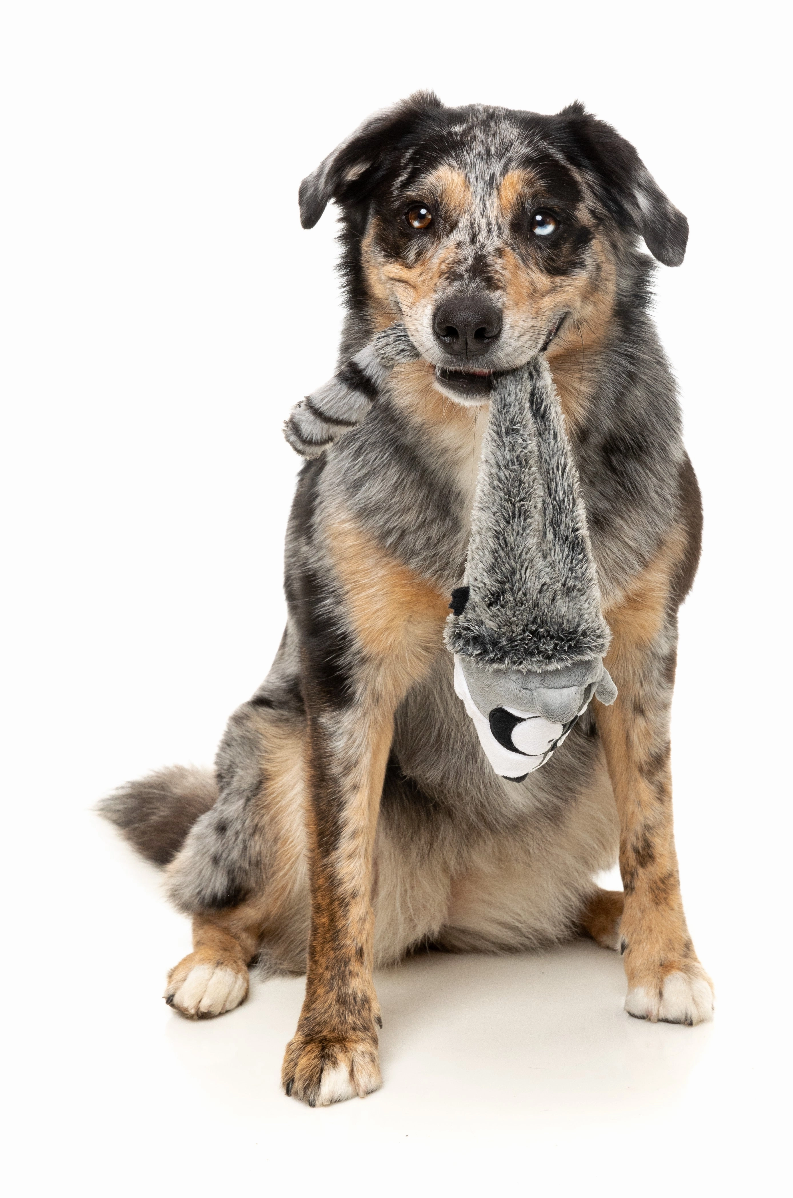 FuzzYard The Yeetz Swing-And-Throw Plush Dog Toy (Run Along Raccoon)