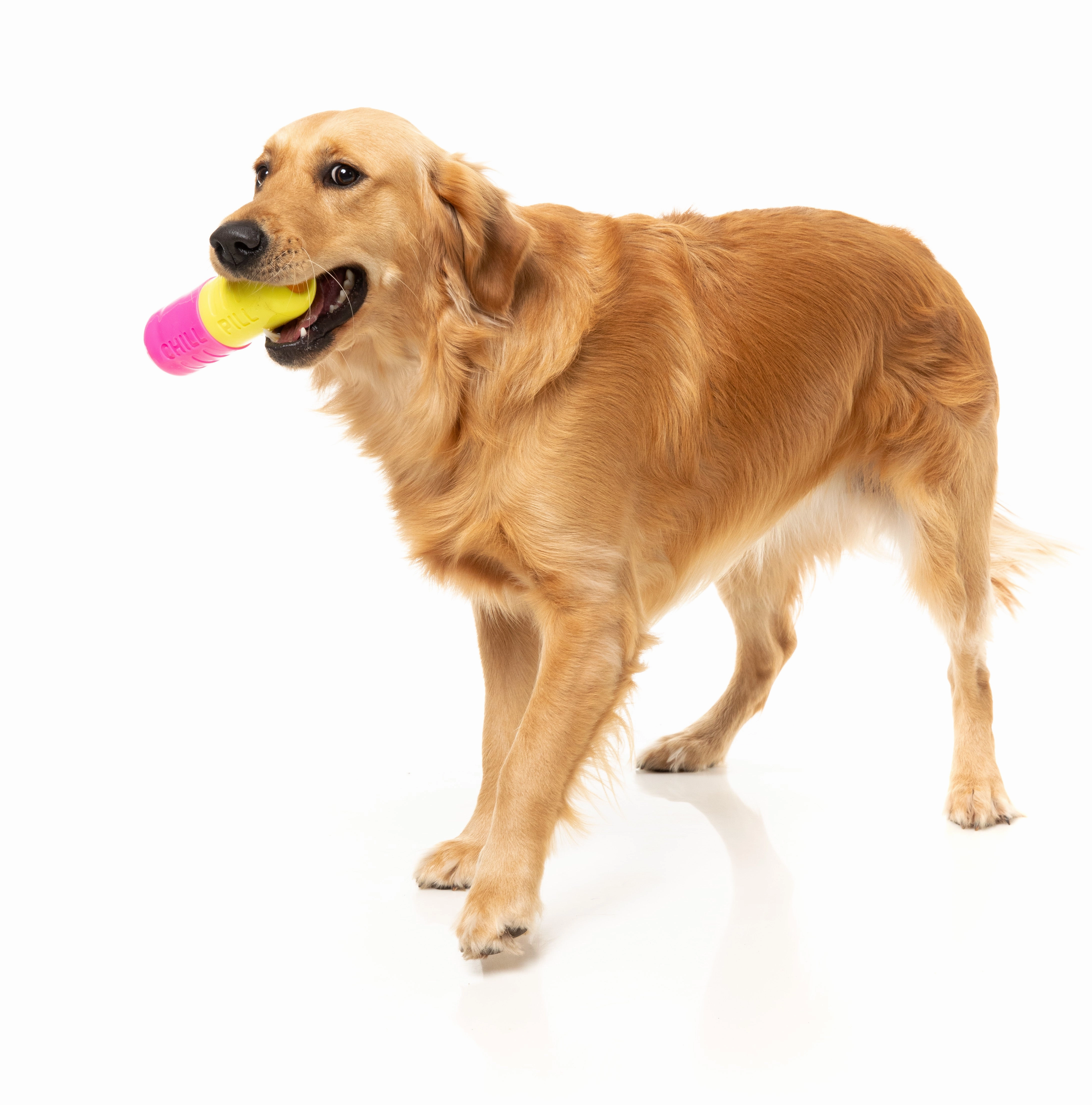 Fuzzyard Treat Dispensing Interactive Dog Chew Toy (Chill Pill)