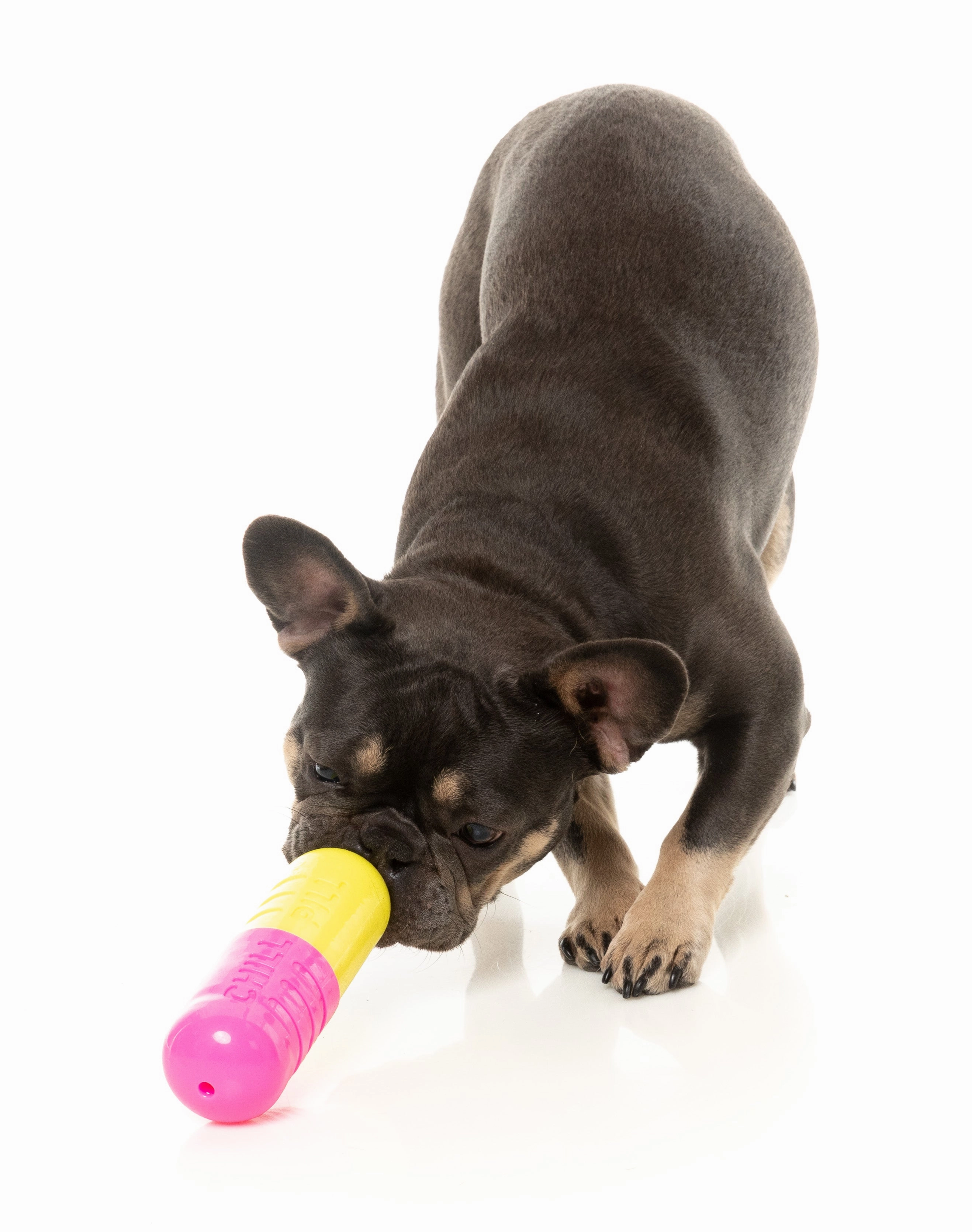 Fuzzyard Treat Dispensing Interactive Dog Chew Toy (Chill Pill)