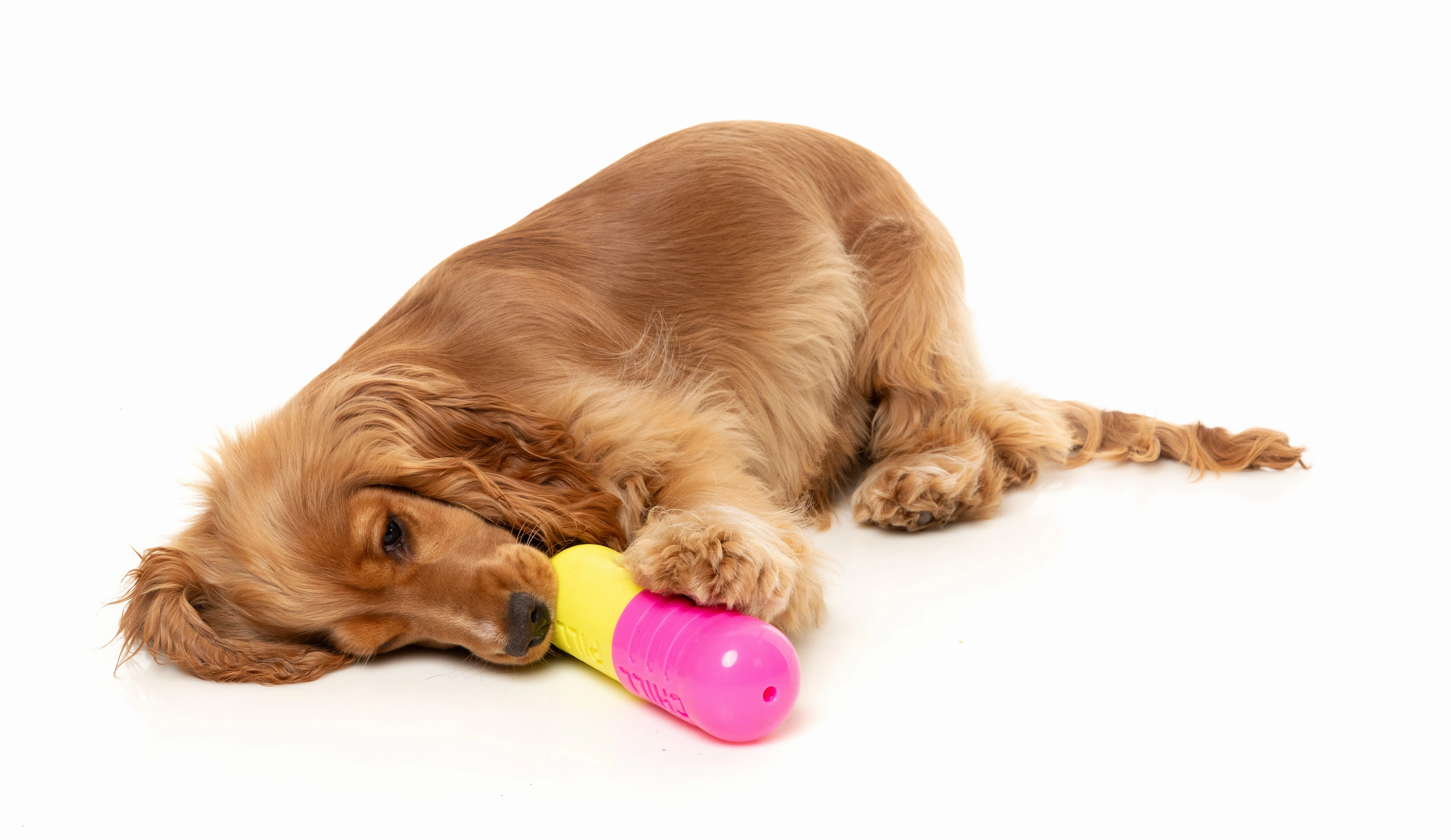 Fuzzyard Treat Dispensing Interactive Dog Chew Toy (Chill Pill)