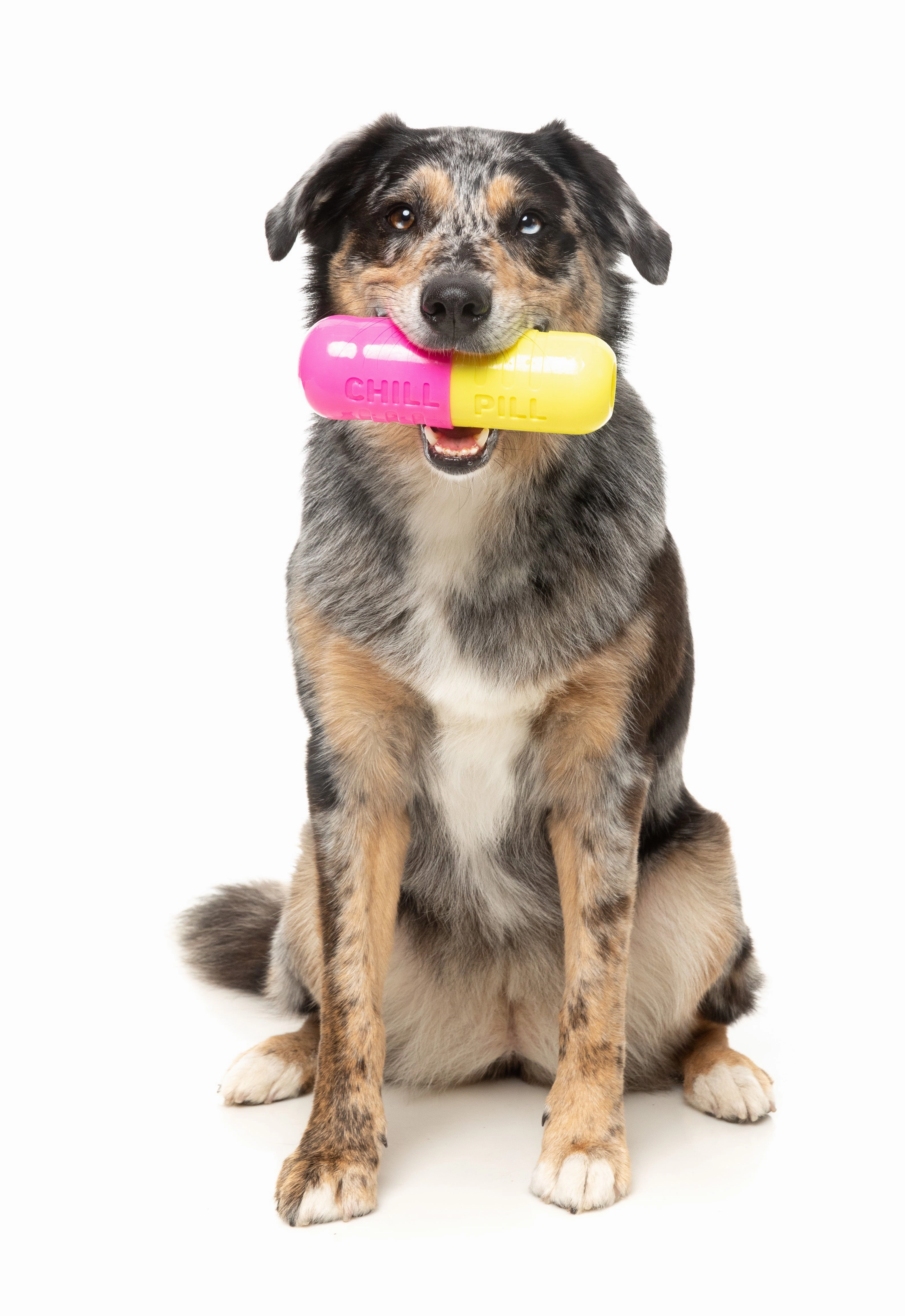 Fuzzyard Treat Dispensing Interactive Dog Chew Toy (Chill Pill)
