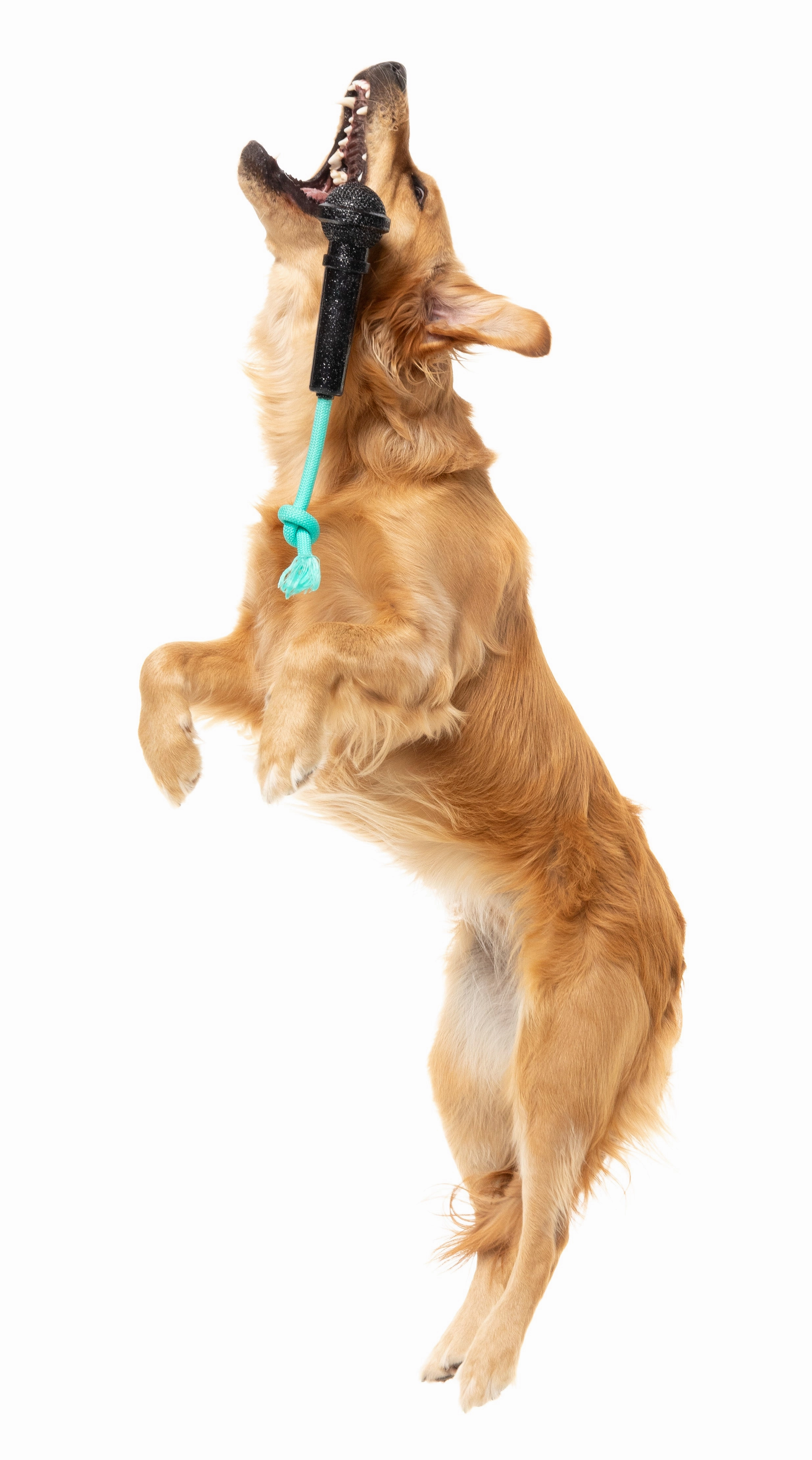 Fuzzyard Treat Dispensing Interactive Dog Chew Toy (Mic Drop)