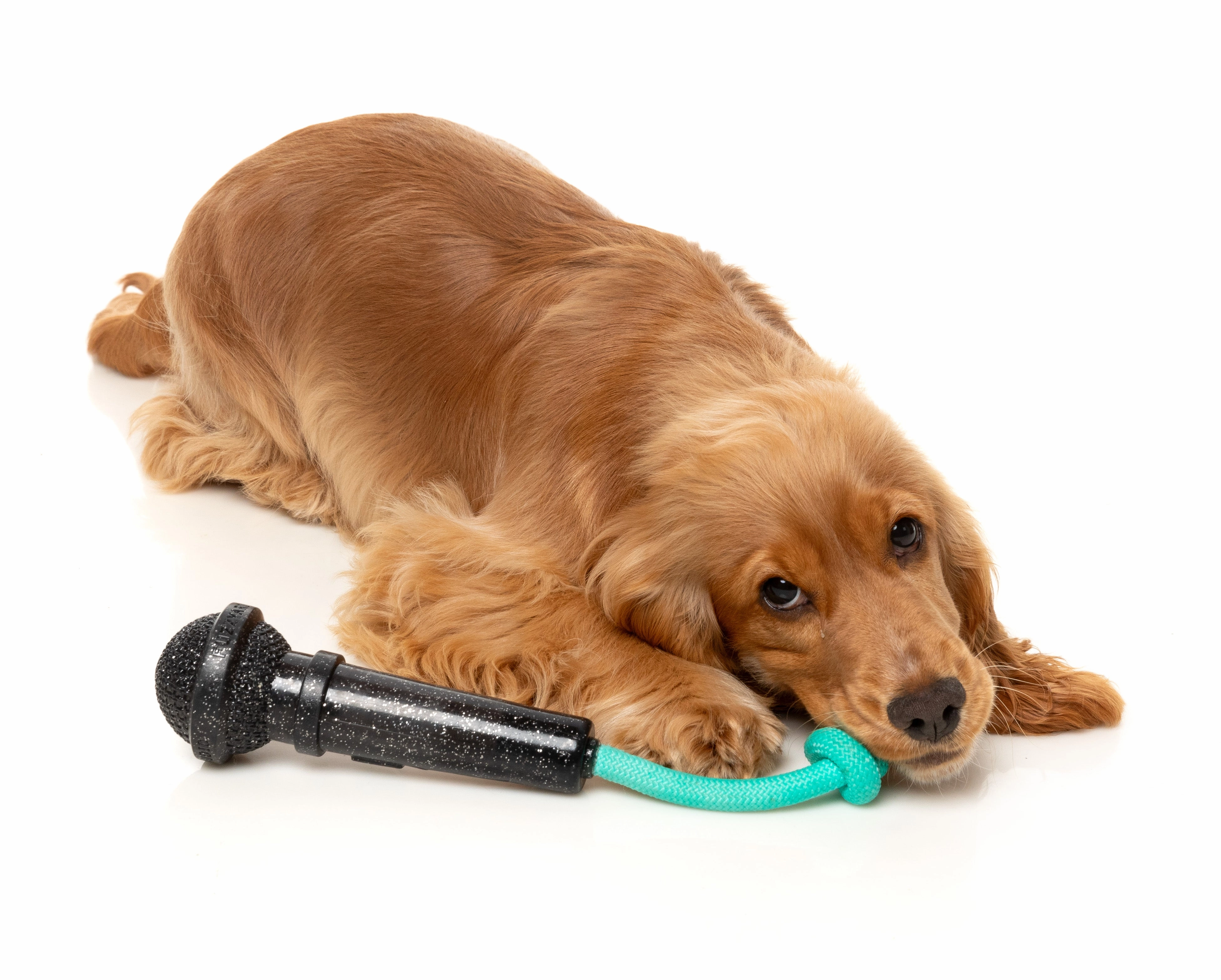 Fuzzyard Treat Dispensing Interactive Dog Chew Toy (Mic Drop)