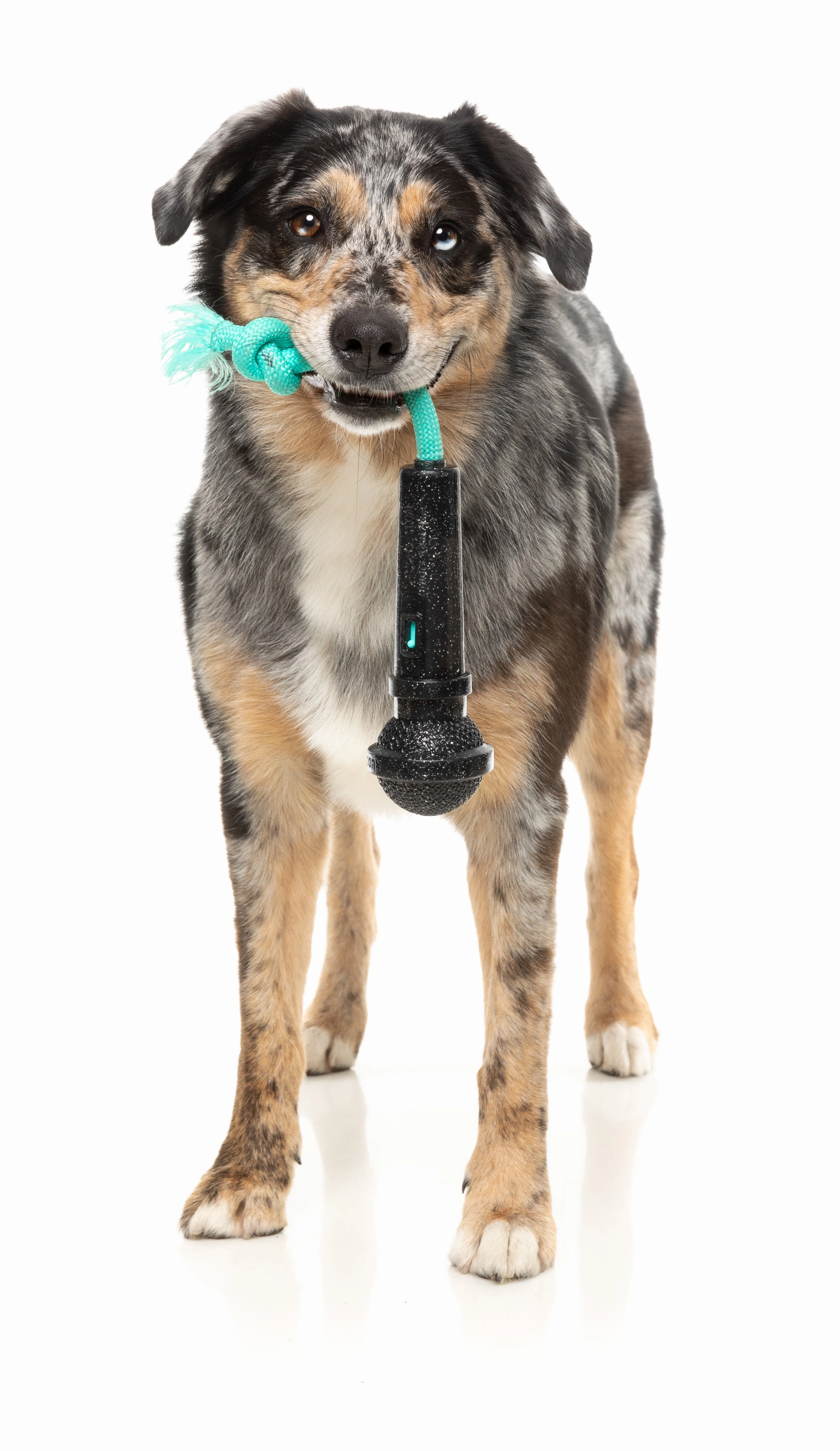 Fuzzyard Treat Dispensing Interactive Dog Chew Toy (Mic Drop)