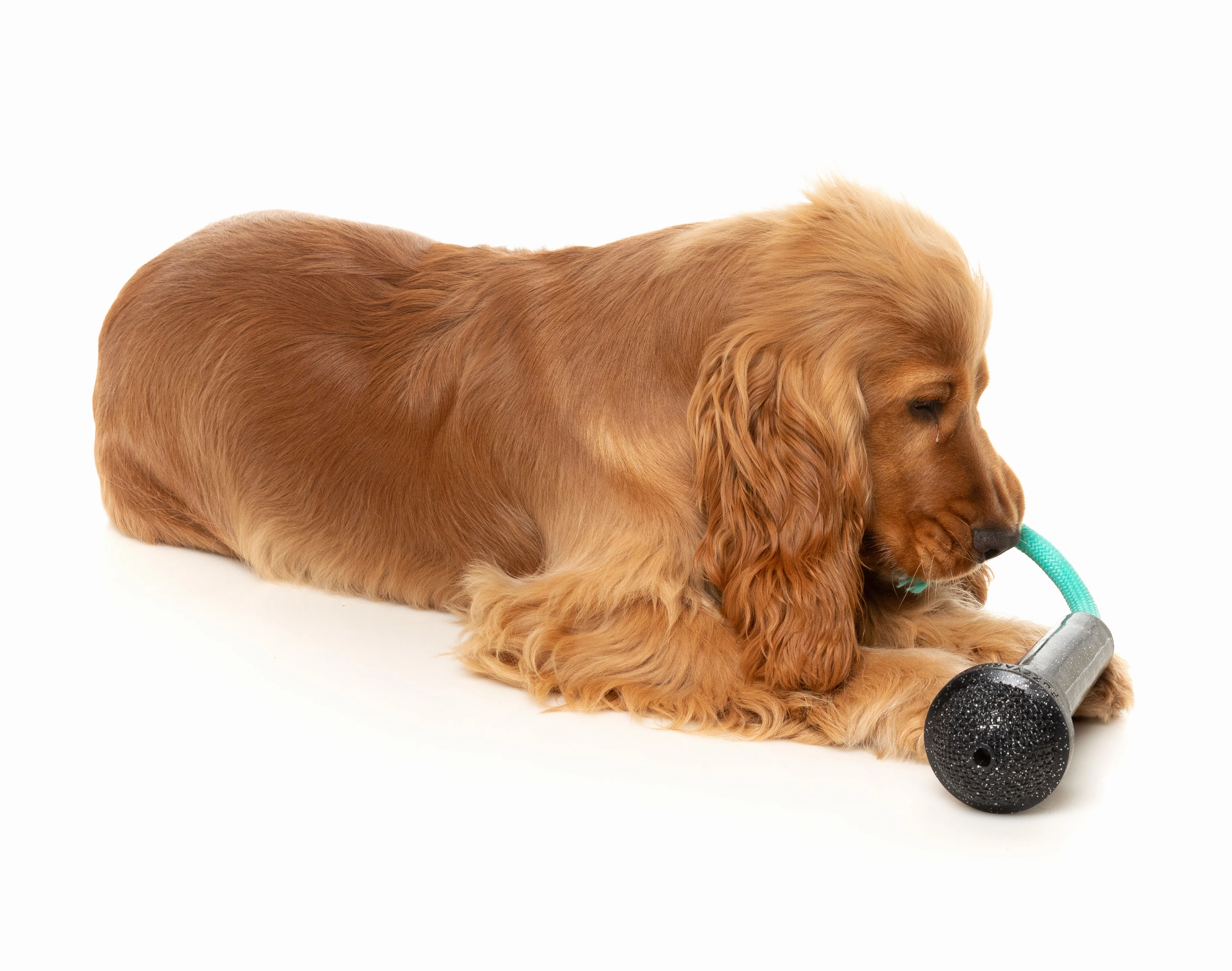 Fuzzyard Treat Dispensing Interactive Dog Chew Toy (Mic Drop)