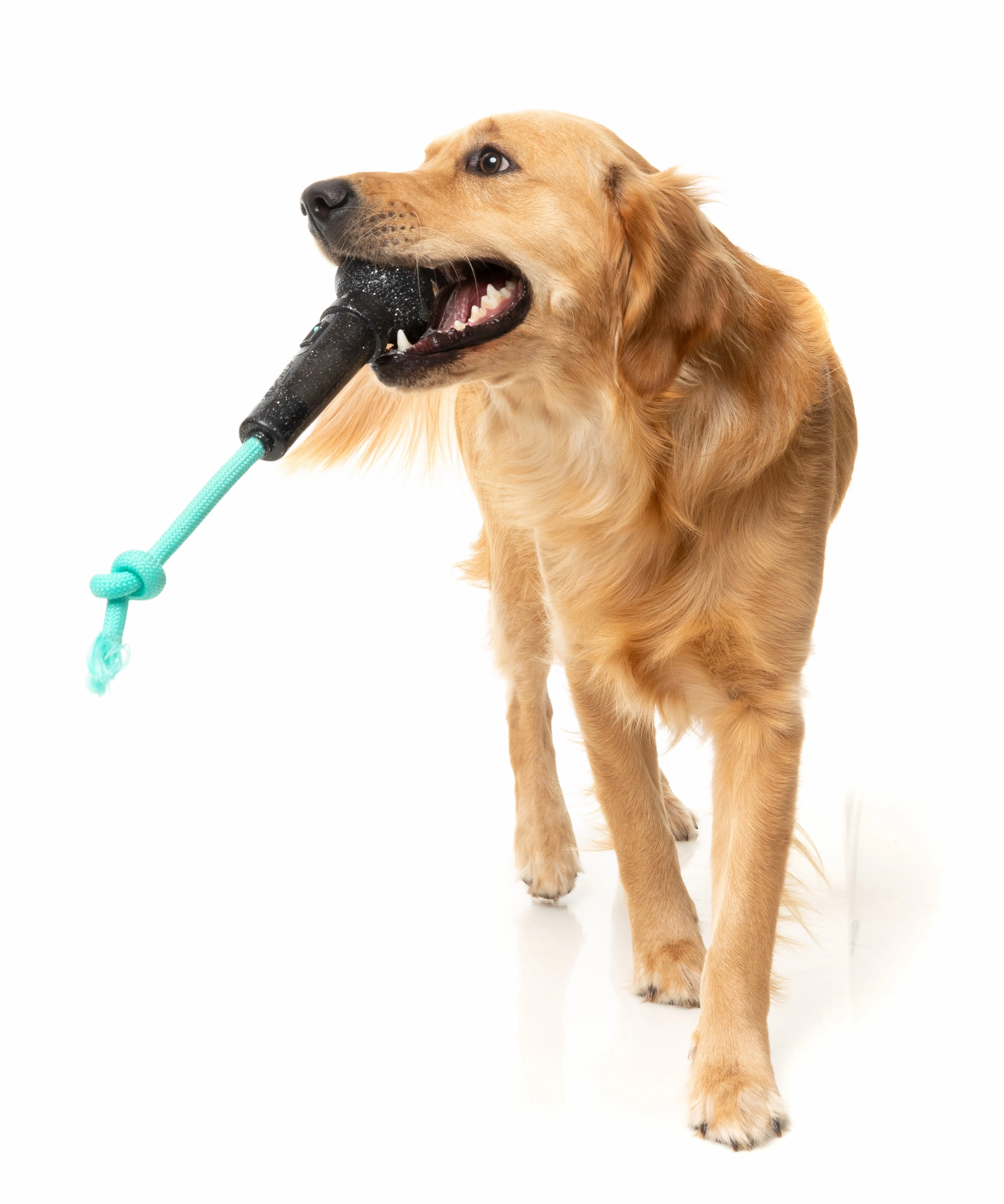 Fuzzyard Treat Dispensing Interactive Dog Chew Toy (Mic Drop)