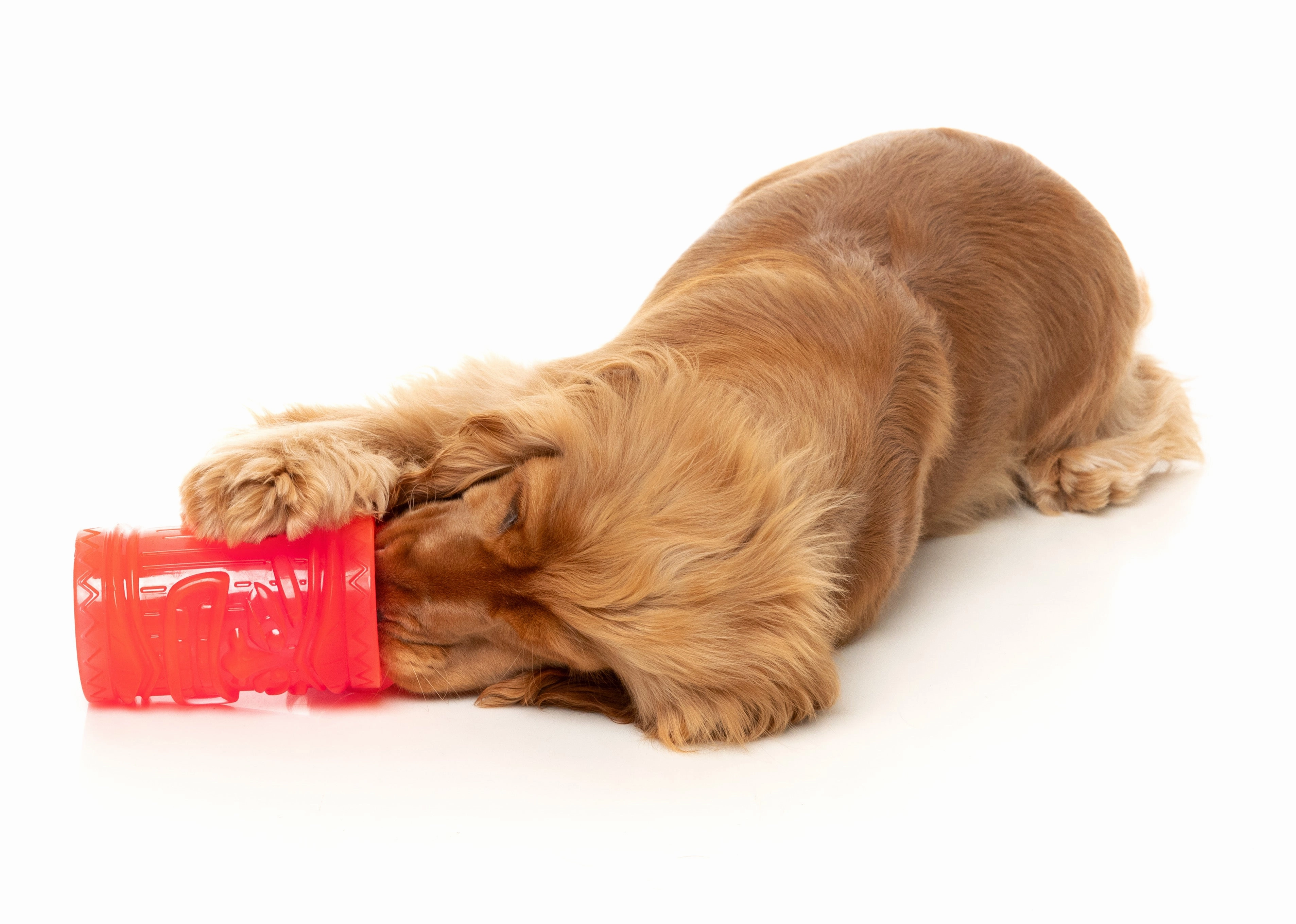 Fuzzyard Treat Dispensing Interactive Dog Chew Toy (Pina Coolada Freeze)
