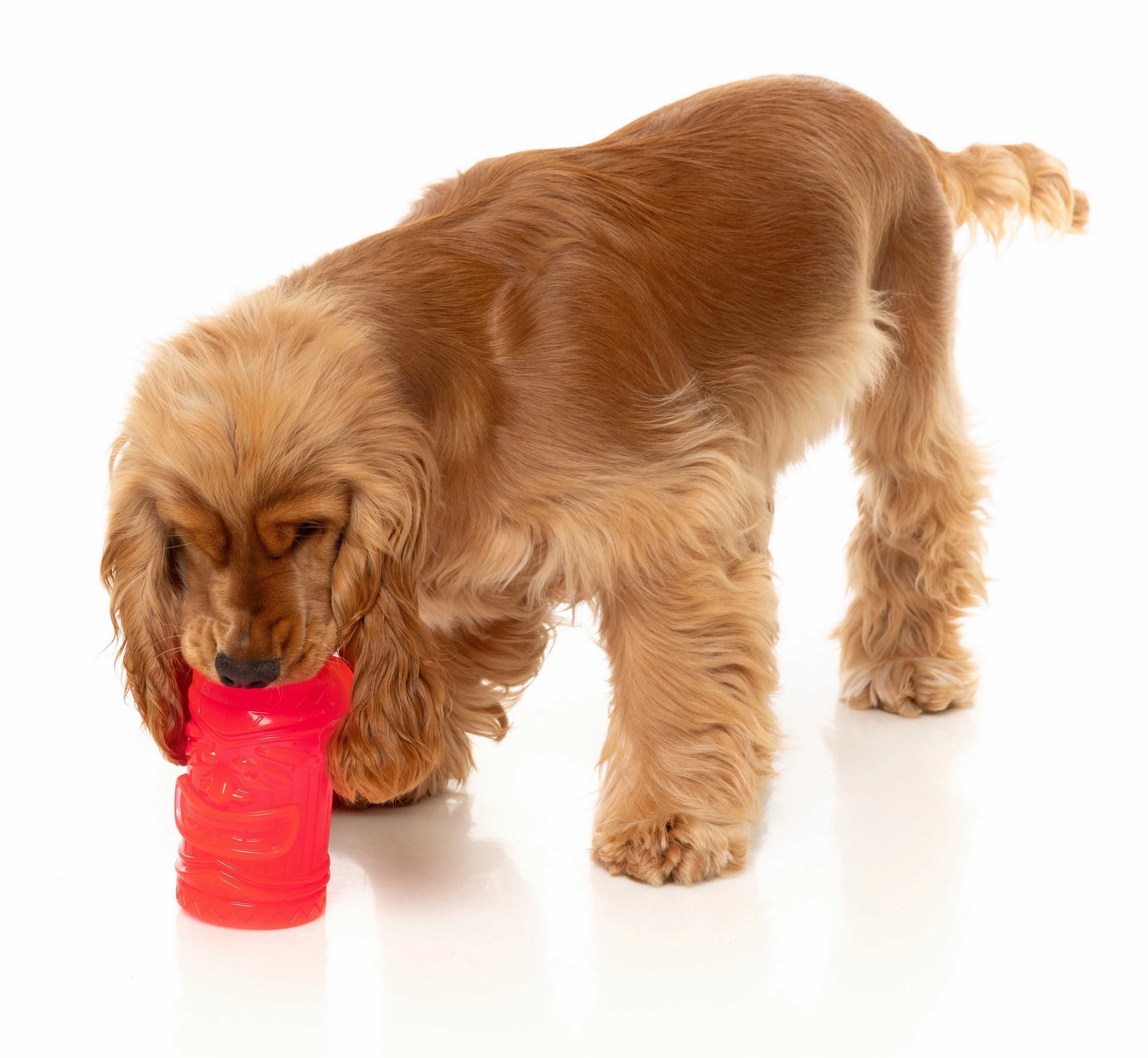 Fuzzyard Treat Dispensing Interactive Dog Chew Toy (Pina Coolada Freeze)
