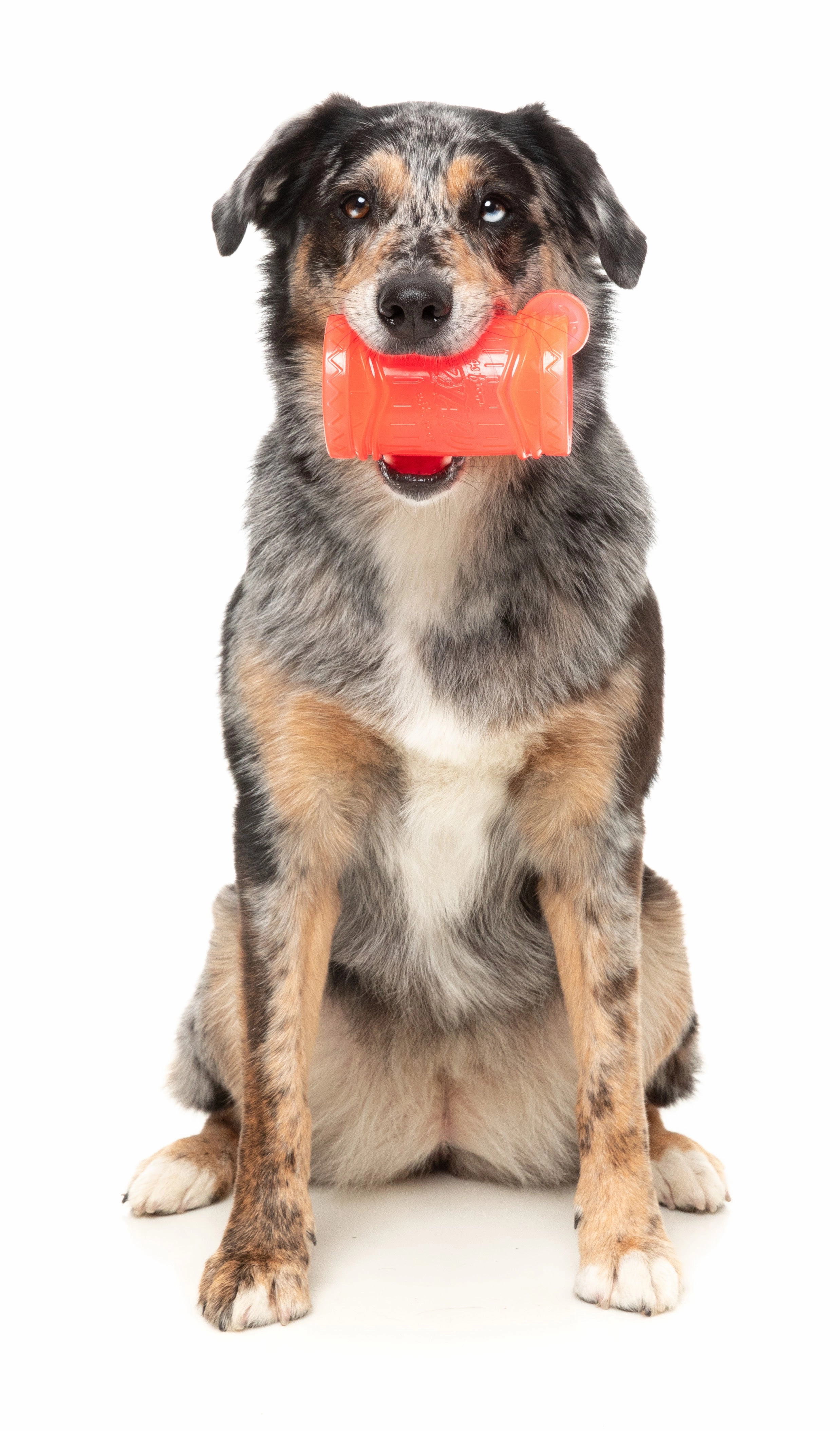 Fuzzyard Treat Dispensing Interactive Dog Chew Toy (Pina Coolada Freeze)