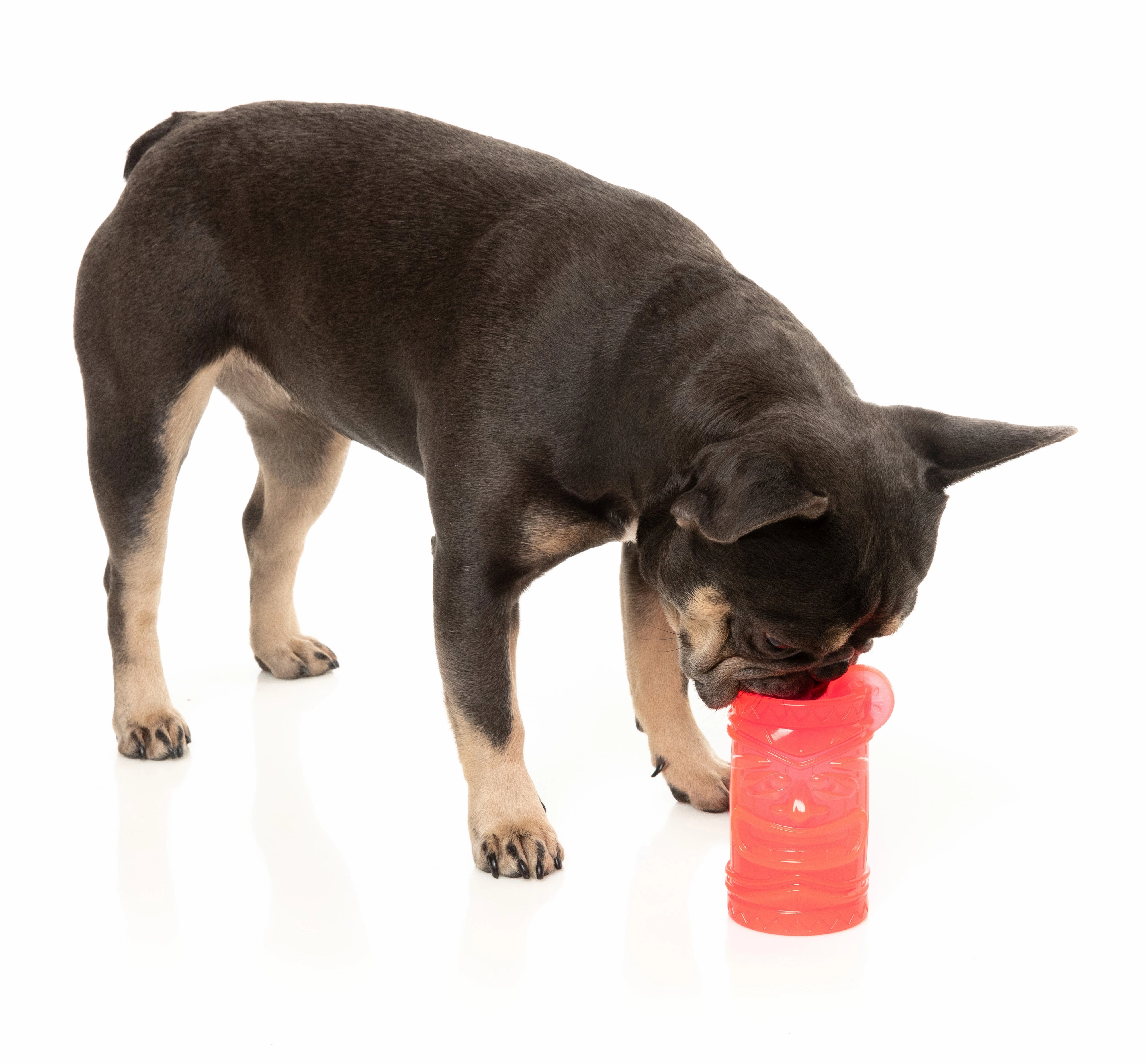 Fuzzyard Treat Dispensing Interactive Dog Chew Toy (Pina Coolada Freeze)