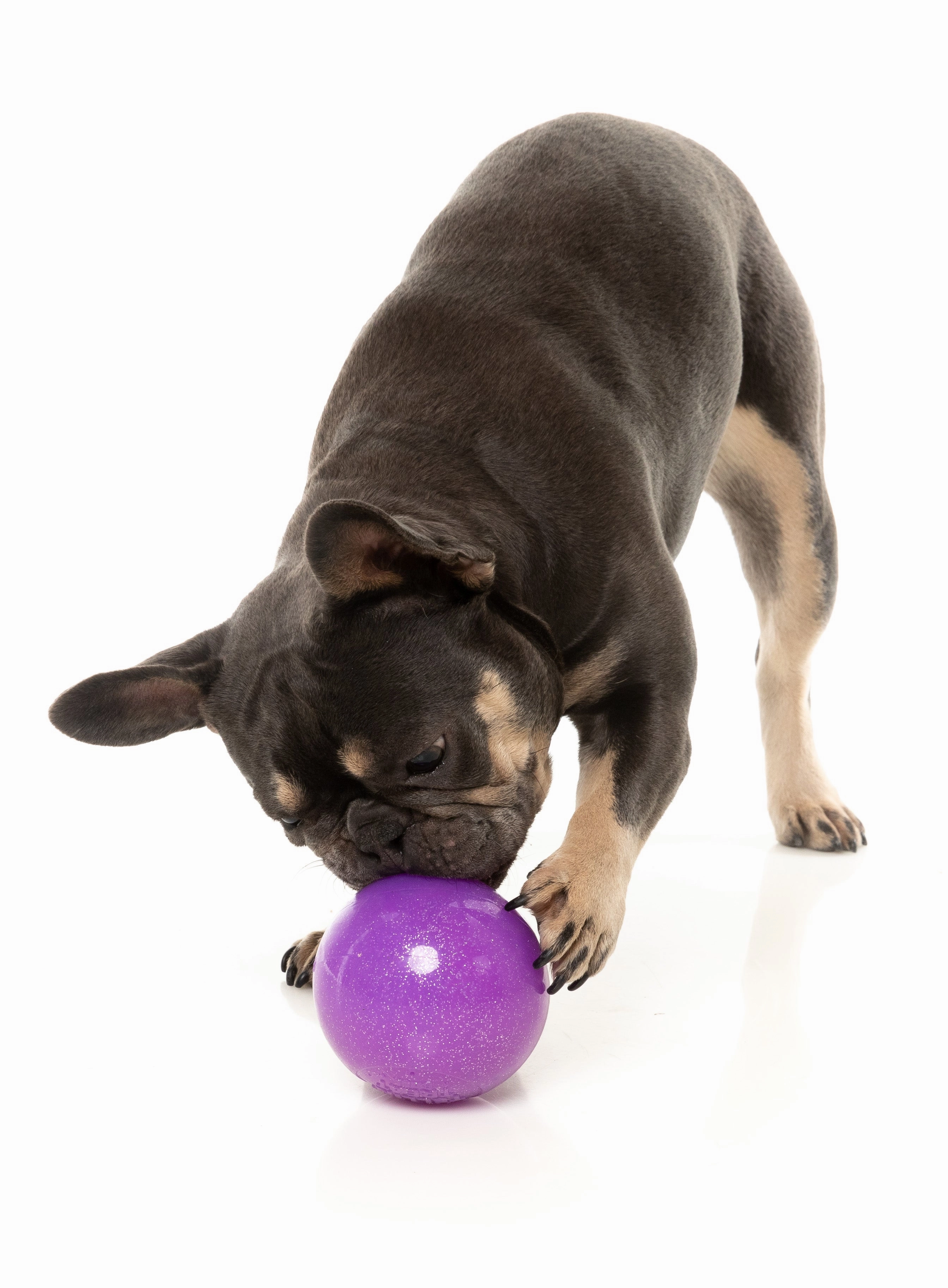 Fuzzyard Treat Dispensing Interactive Dog Chew Toy (Truth Tellin' Treat Ball)
