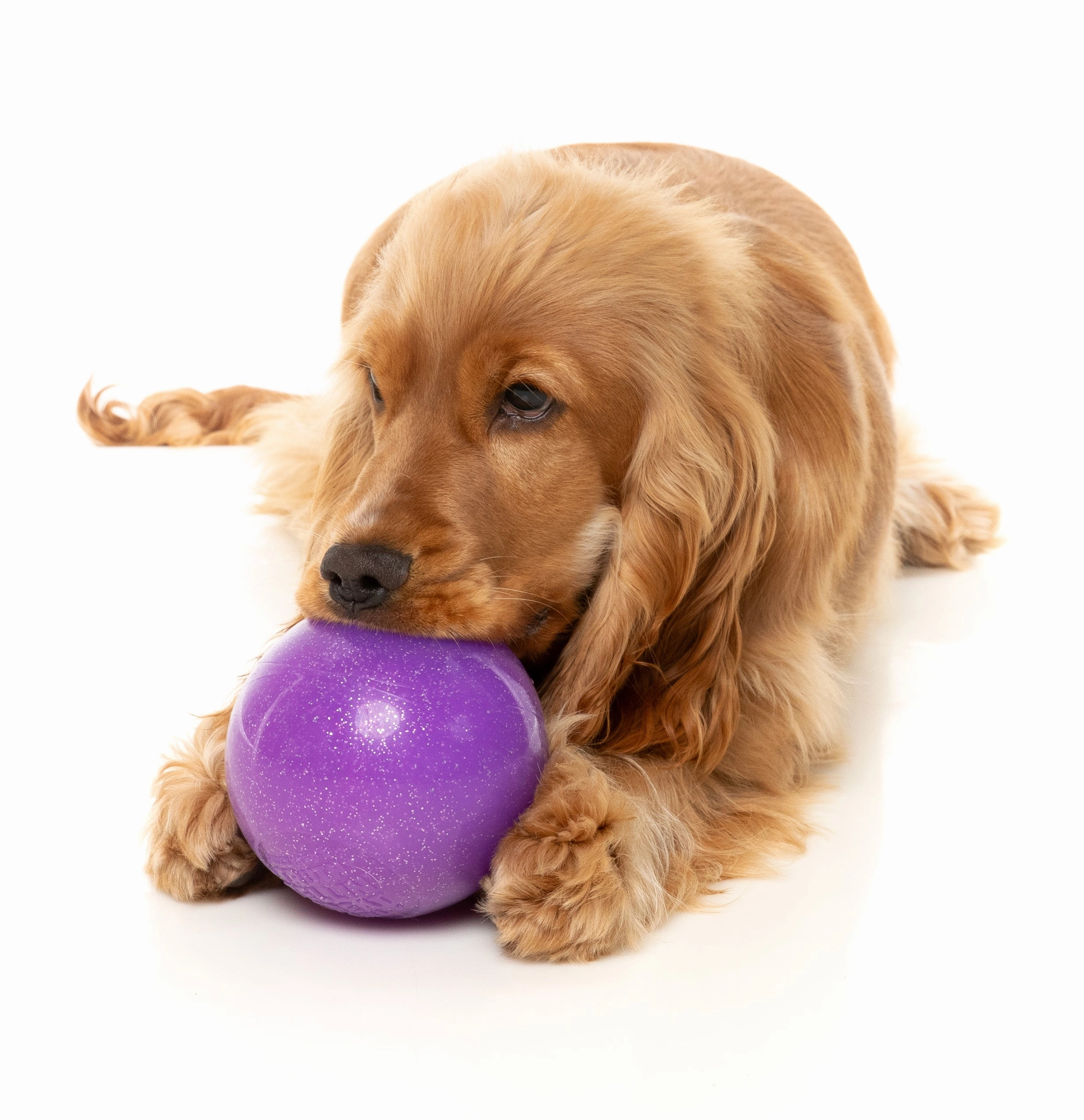 Fuzzyard Treat Dispensing Interactive Dog Chew Toy (Truth Tellin' Treat Ball)