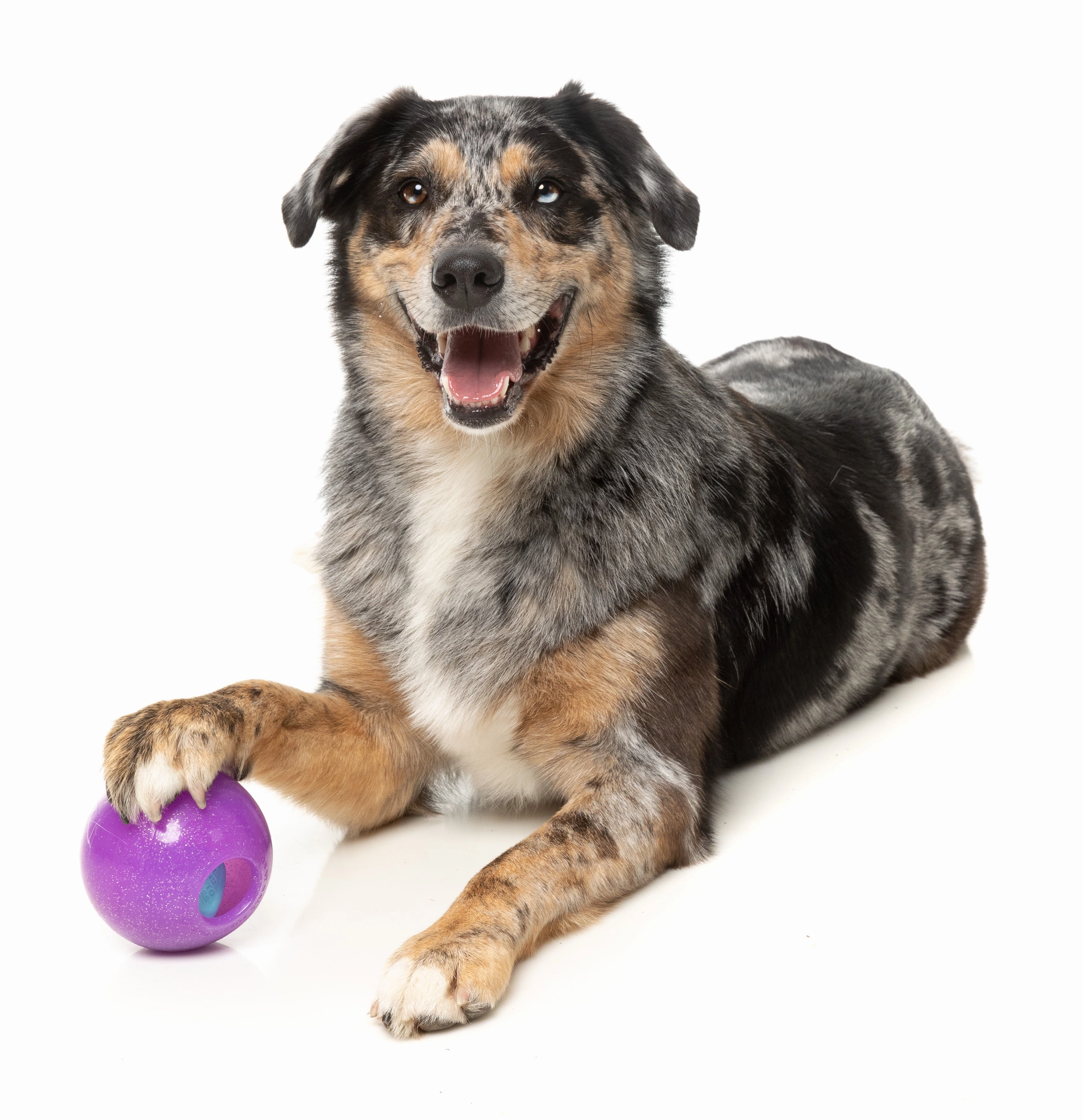 Fuzzyard Treat Dispensing Interactive Dog Chew Toy (Truth Tellin' Treat Ball)